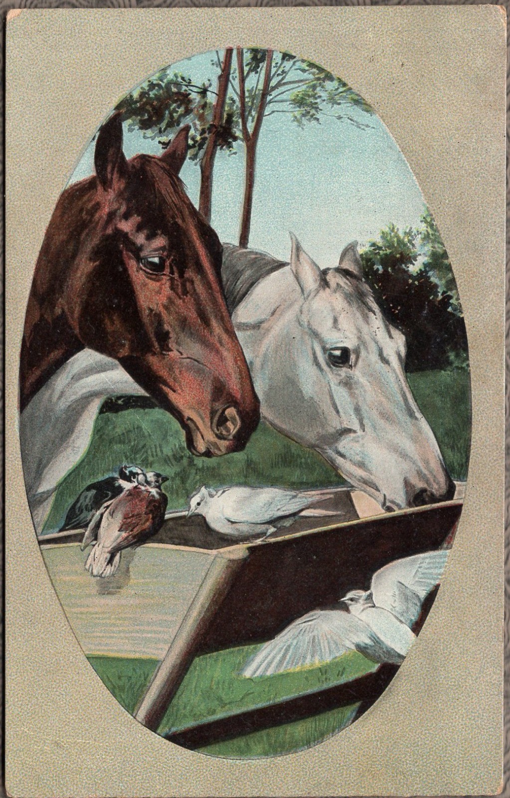 1909 Horses Feeding Trough Birmingham Alabama Cancellation 1909 Horses Feeding Trough Birmingham Alabama Cancellation