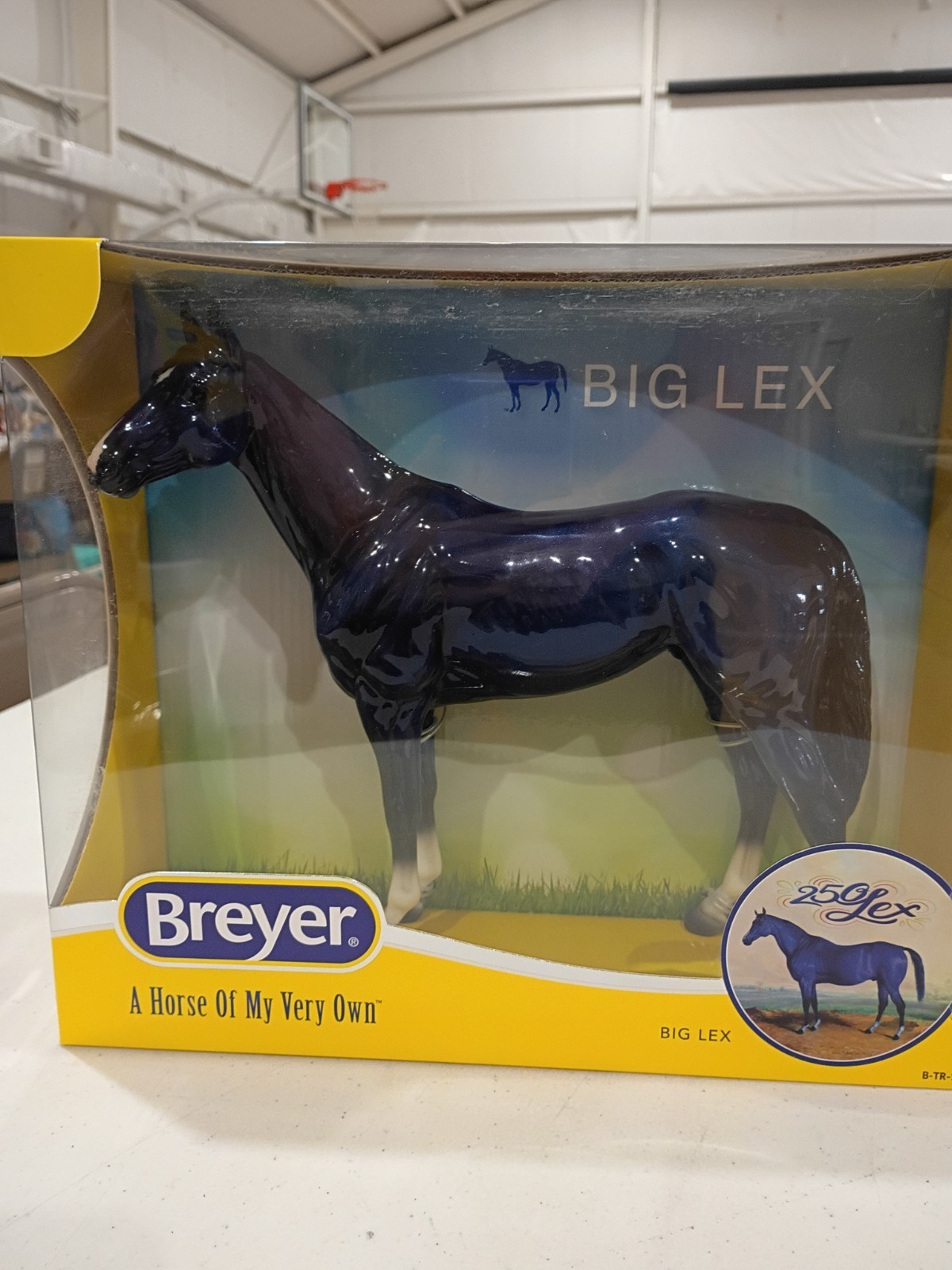Breyer 2026 Exclusive Collector Club Appreciation CCA GLOSSY Big Lex Decorator Breyer 2026 Exclusive Collector Club Appreciation CCA GLOSSY Big Lex Decorator