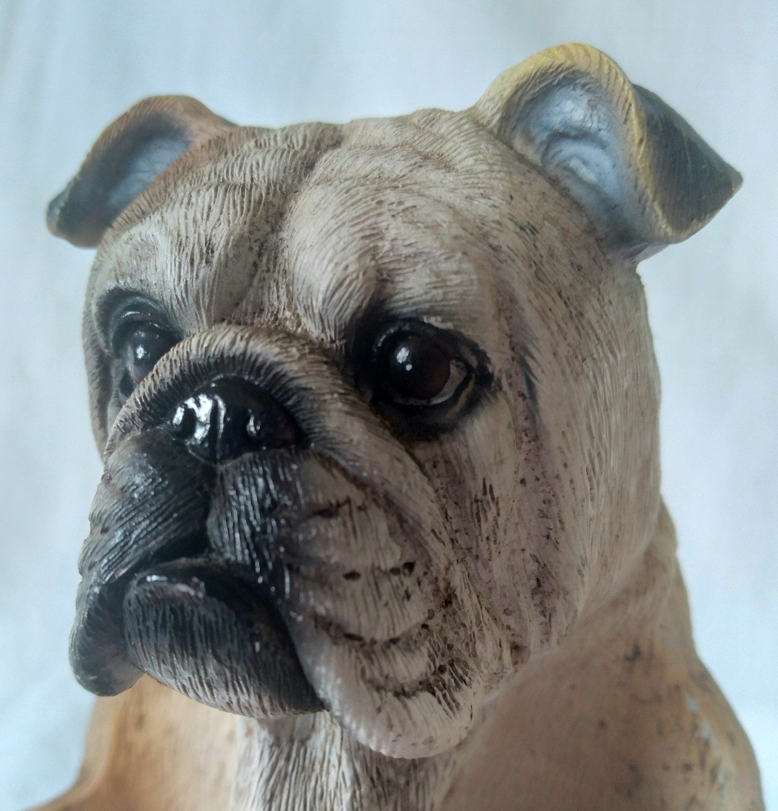 Realistic English Bulldog Holds Glass Salt Pepper Shakers Resin DWK China Unused Realistic English Bulldog Holds Glass Salt Pepper Shakers Resin DWK China Unused