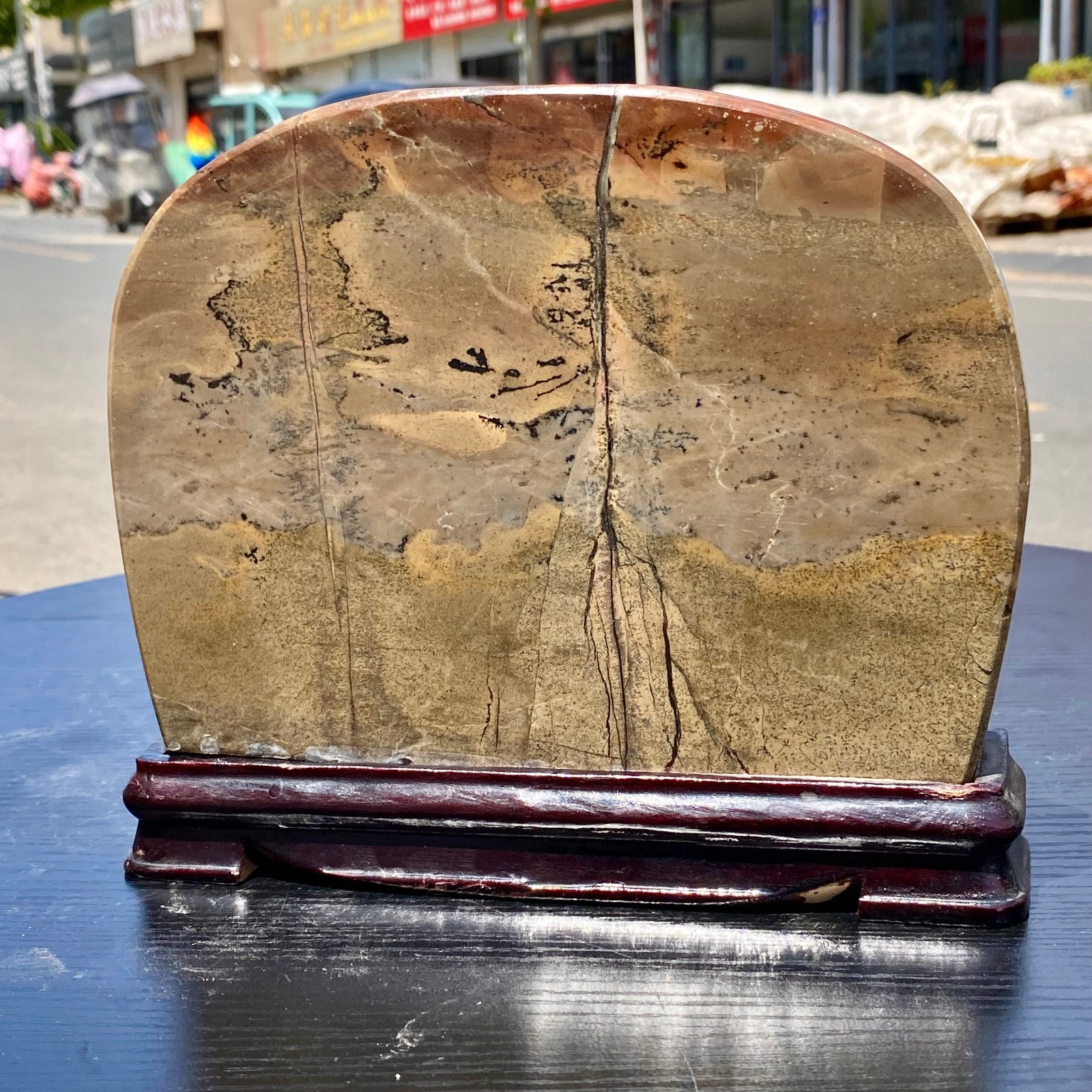 5.5LB Rare National Treasure Fossil - Authentic Collectible Stone Specimen 5.5LB Rare National Treasure Fossil - Authentic Collectible Stone Specimen