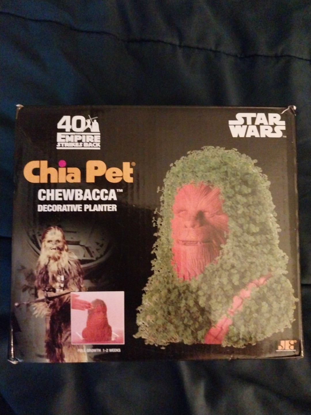 Star Wars CHEWBACCA 40th The Empire Strikes Back Chia Pet Decorative Planter Star Wars CHEWBACCA 40th The Empire Strikes Back Chia Pet Decorative Planter
