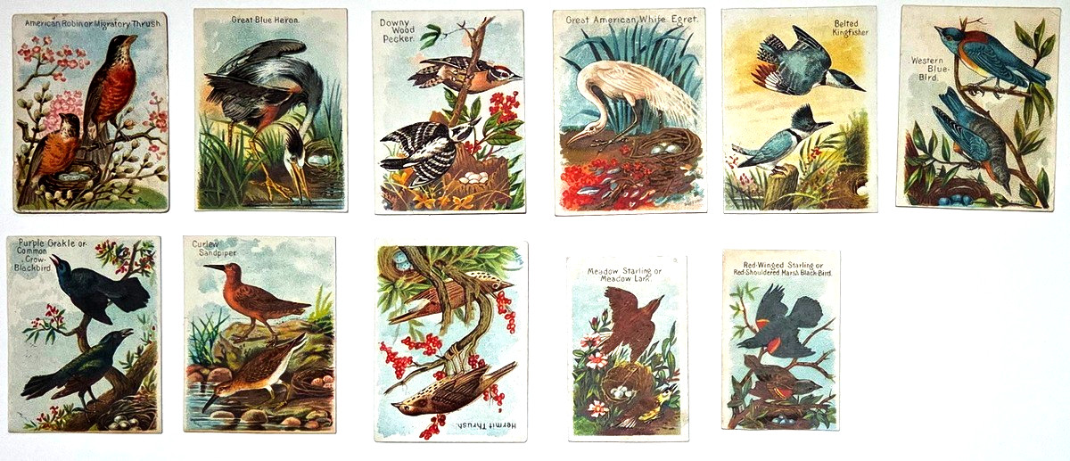 1890 Eleven J1, Arm & Hammer Beautiful Birds, All 3 Varieties Bottoms Cut