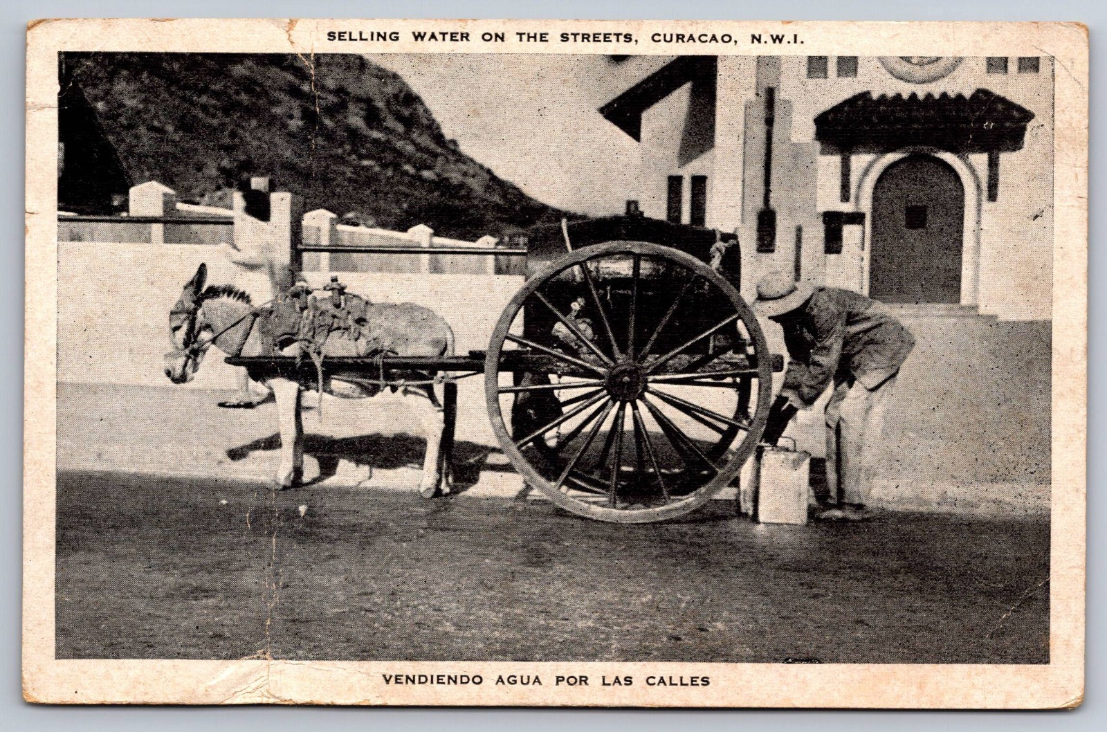 Curacao N.W.I. Selling Water on the Streets Donkey Cart Vintage Postcard