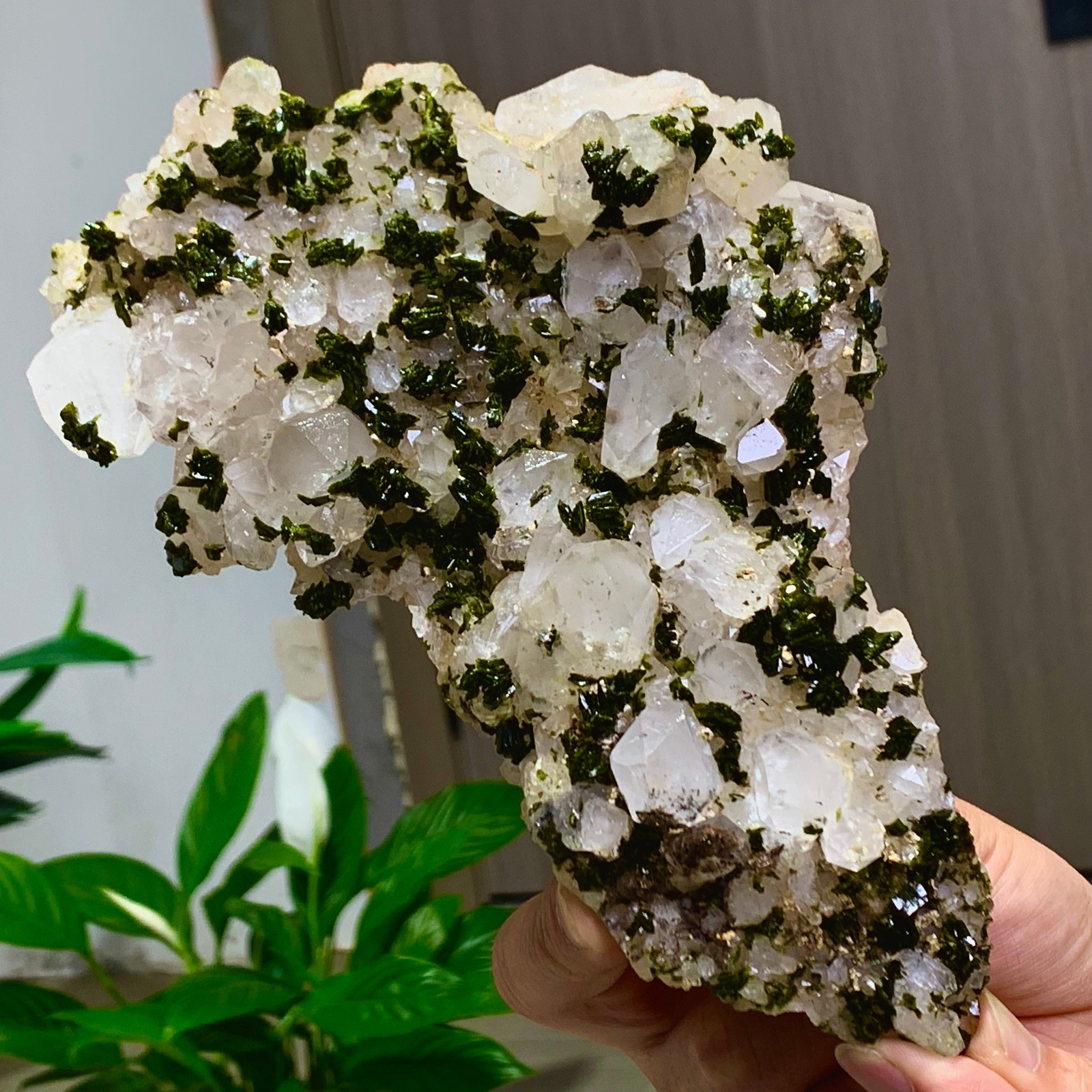 1.72LB Natural beautiful epidote quartz with Crystal garden quartz Specimen 1.72LB Natural beautiful epidote quartz with Crystal garden quartz Specimen