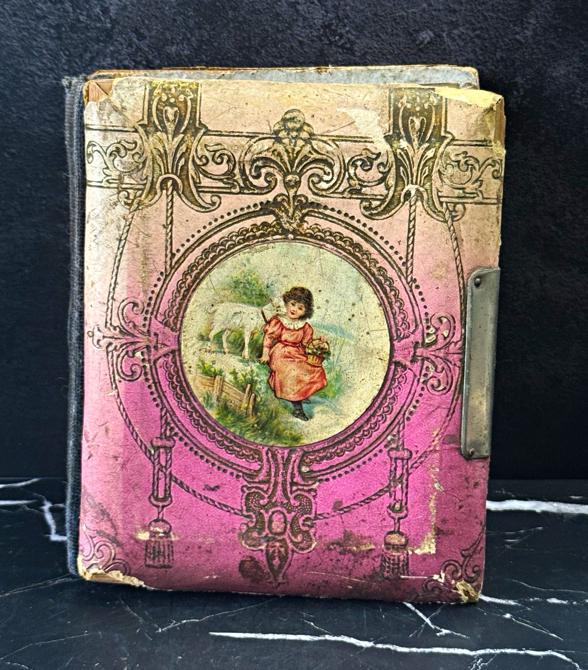 Antique Victorian Celluloid Album with 10 Original Tintypes (c. 1880–1895) Antique Victorian Celluloid Album with 10 Original Tintypes (c. 1880–1895)