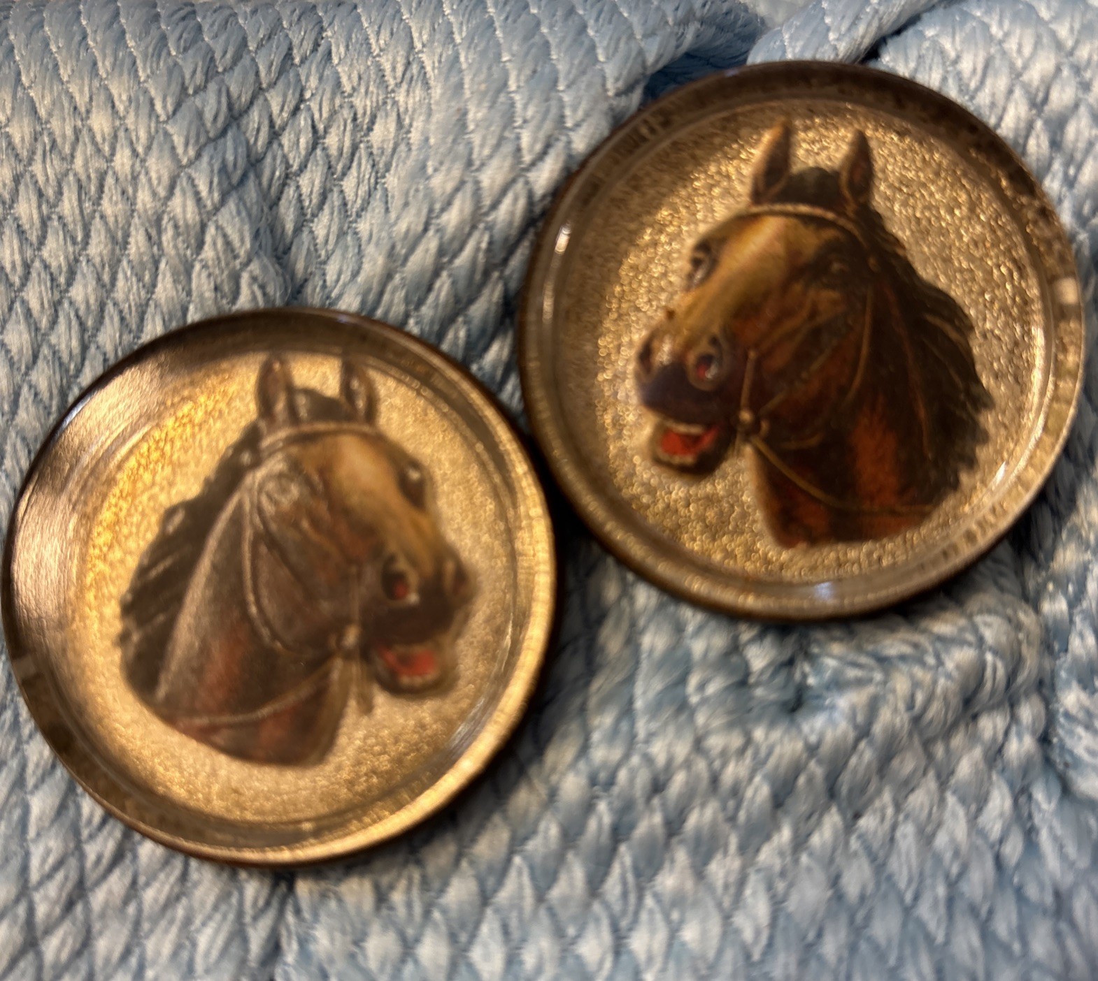 antique horse bridle rosettes