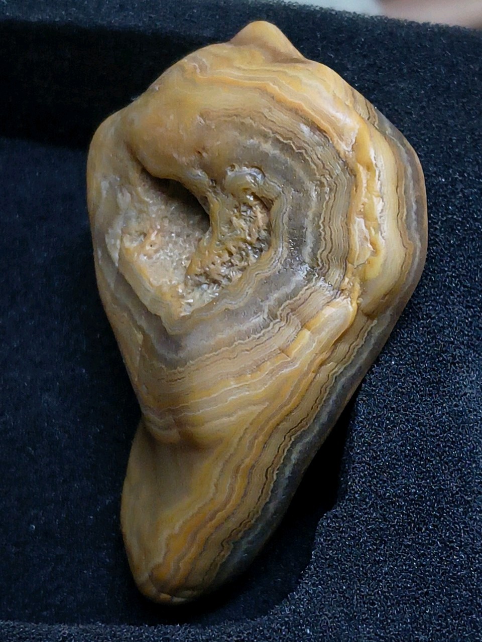 Agate Natural Unique Memphis Tennessee Creek Rough Unpolished Mineral Specimen Agate Natural Unique Memphis Tennessee Creek Rough Unpolished Mineral Specimen