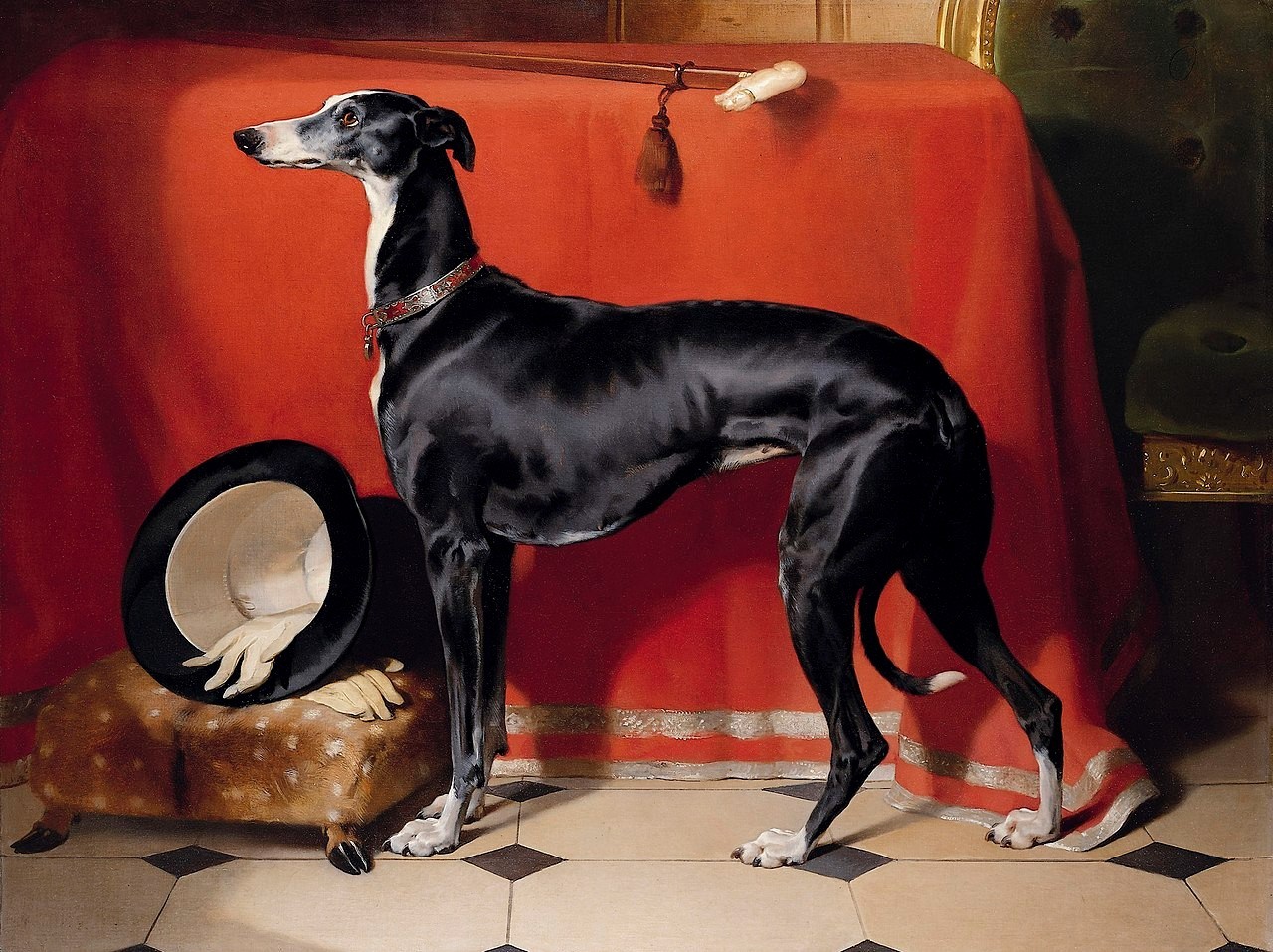 Black & White Greyhound Regal Dog by Landseer 1841 - Photo Image 5 x 7 in