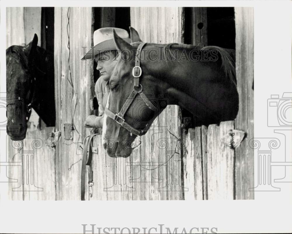 1978 Press Photo Man and horses look out stall windows at Eureka Downs 1978 Press Photo Man and horses look out stall windows at Eureka Downs