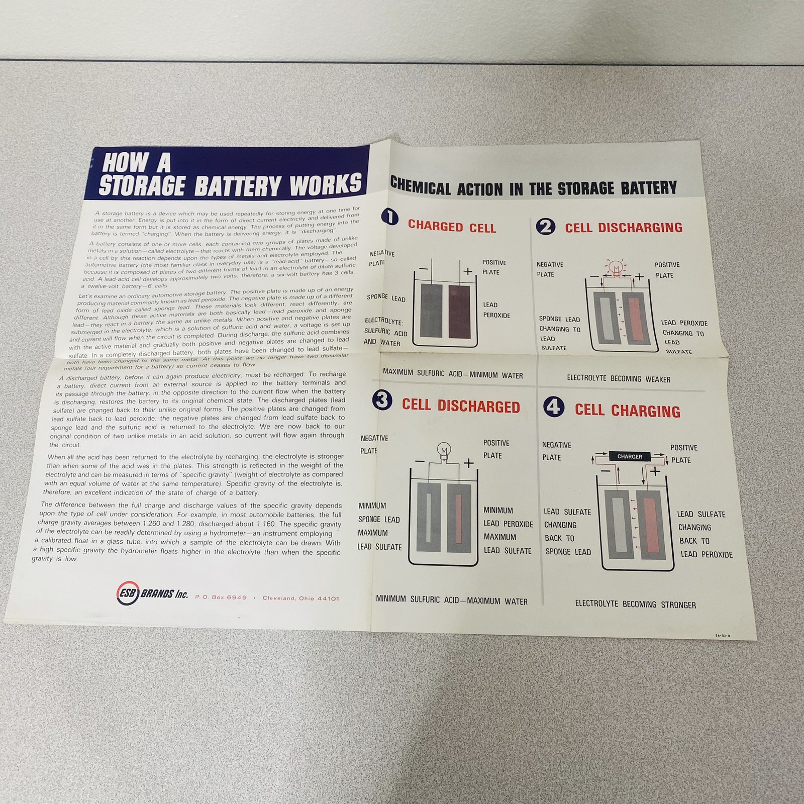 ESB Brands Battery Poster Vtg EA-03-B MCM Educational 22 X 17 Large ESB Brands Battery Poster Vtg EA-03-B MCM Educational 22 X 17 Large