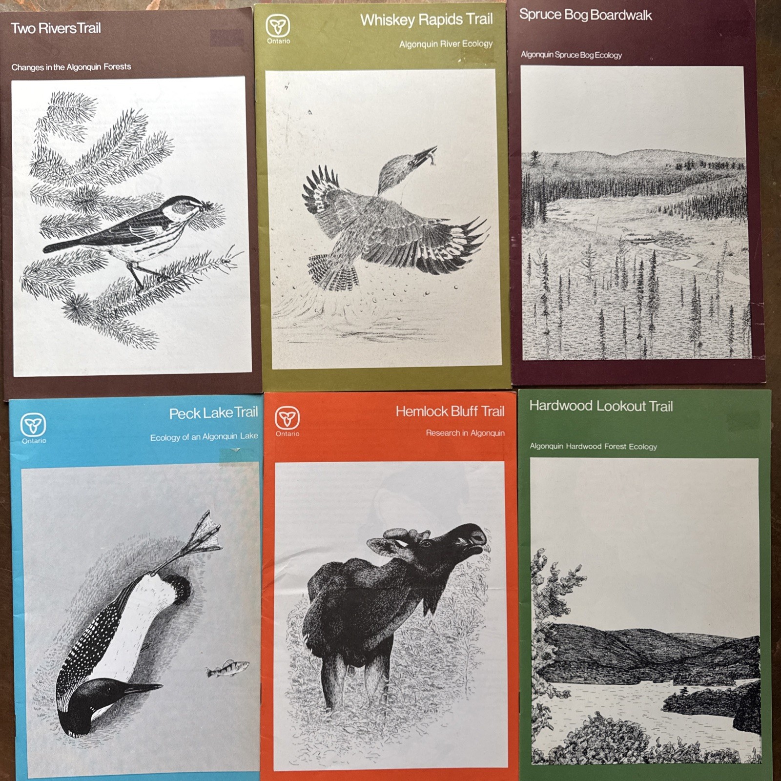 Lot 6 Ontario Algonquin Trail Guide Ministry of Natural Resources Vintage 1990