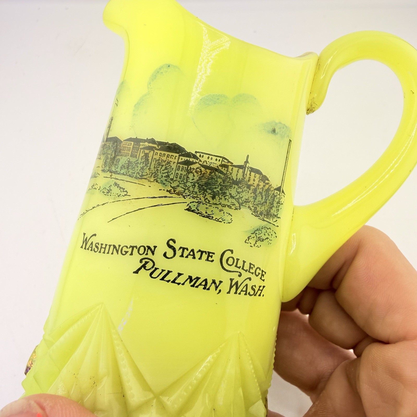 Antique Jefferson Diamond Peg Custard Glass Washington State College Creamer Antique Jefferson Diamond Peg Custard Glass Washington State College Creamer