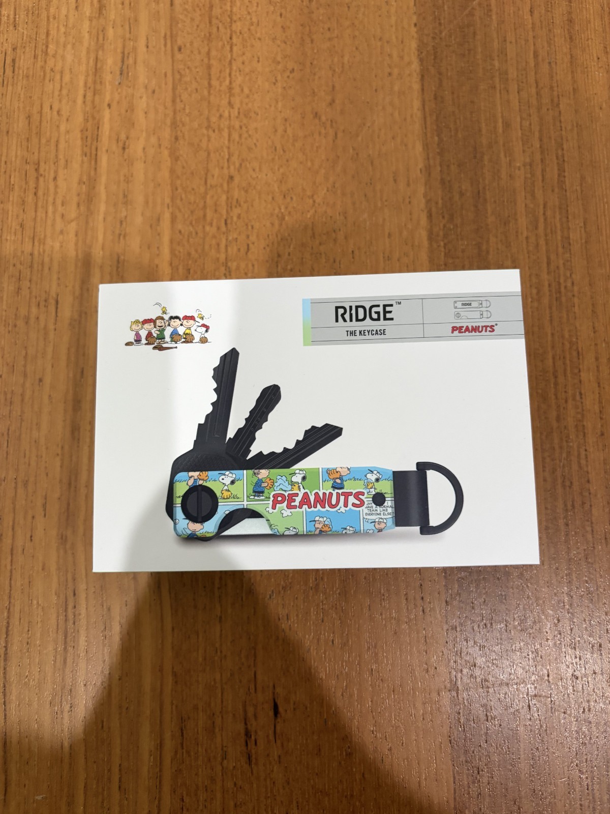 RIDGE KeyCase Peanuts The Sunday Strip Compact Key Organizer