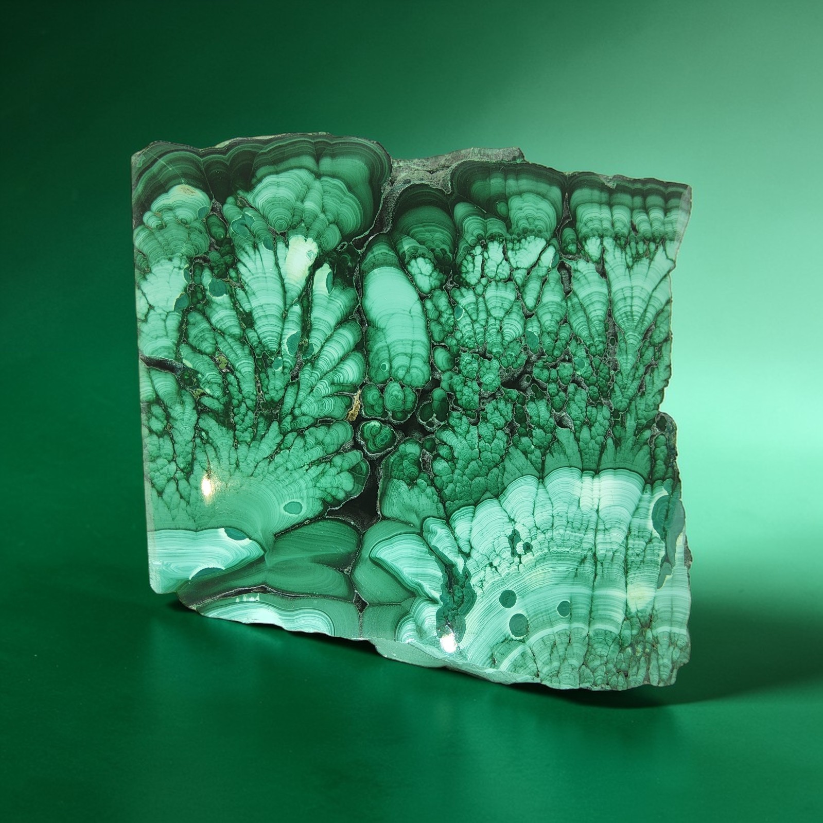 Malachite, polished slab, high grade, display specimen, #R-2905 Malachite, polished slab, high grade, display specimen, #R-2905