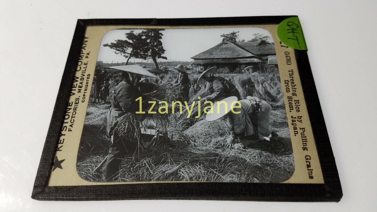 HISTORIC Magic Lantern GLASS Slide QHT THRESHING RICE PULLING GRAIN FROM STEMS