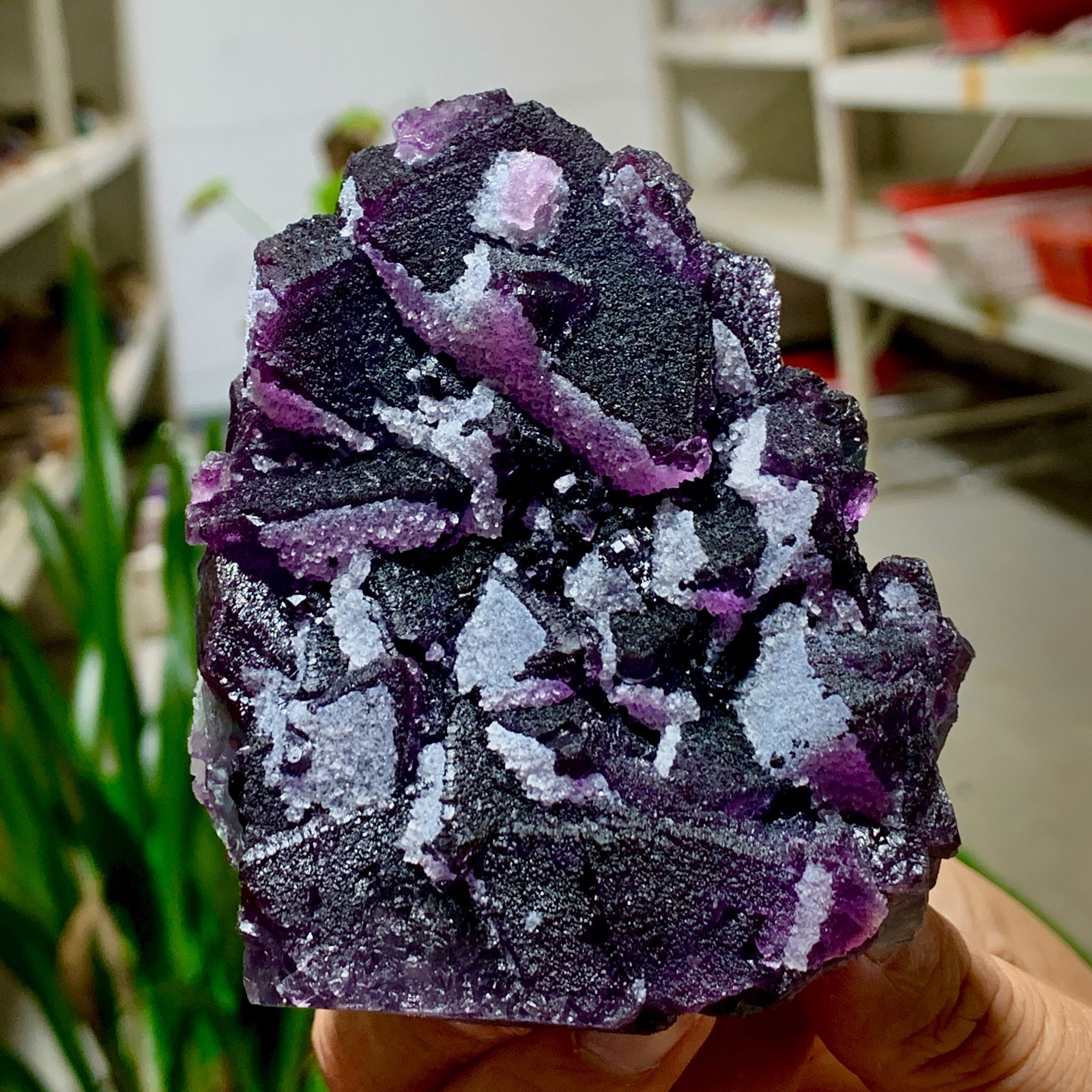 479G Natural Crystal Rare Transparent Purple Cube Fluorite Specimen/China 479G Natural Crystal Rare Transparent Purple Cube Fluorite Specimen/China