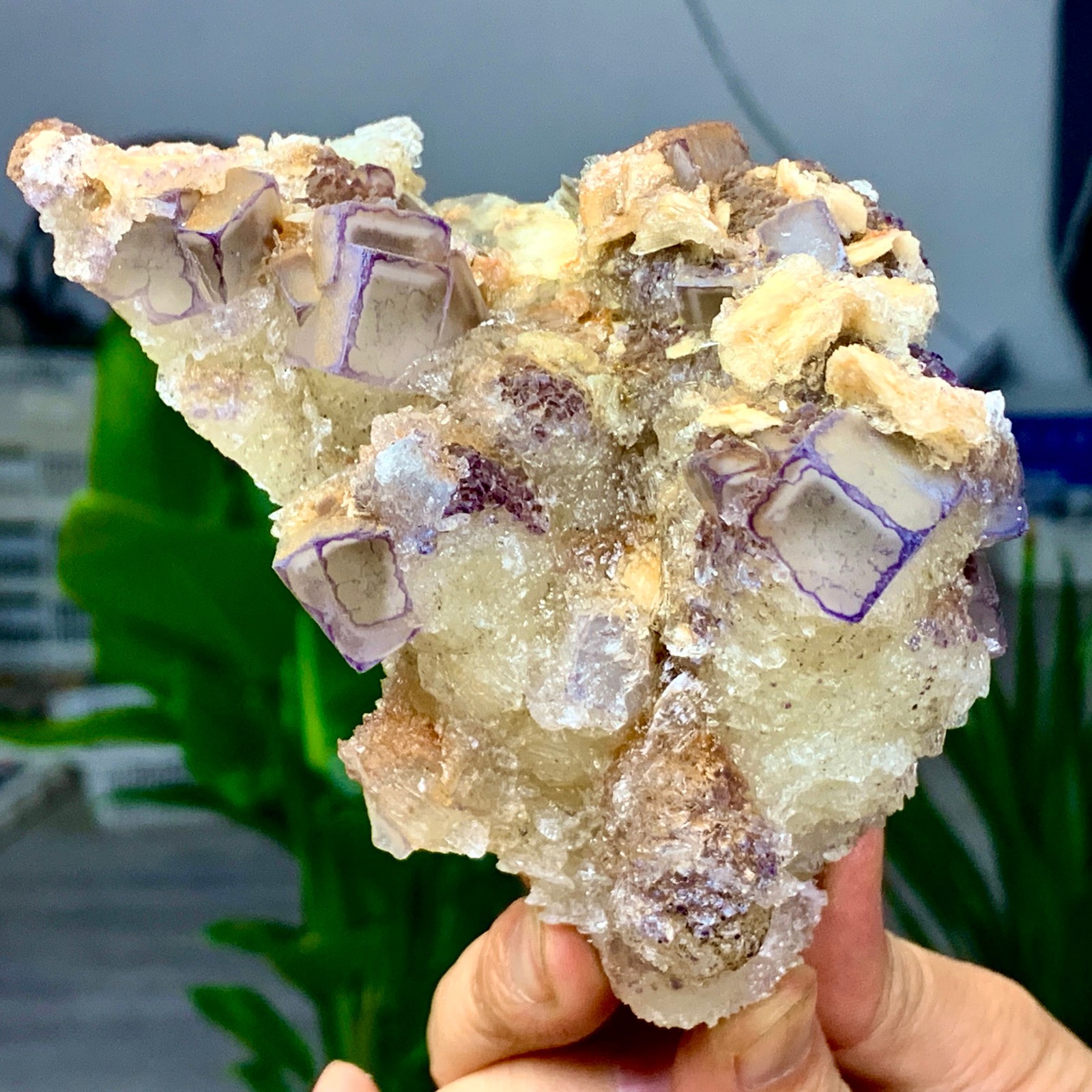 1.21LB Natural purple green cubic fluorite mineral crystal sample/China 1.21LB Natural purple green cubic fluorite mineral crystal sample/China