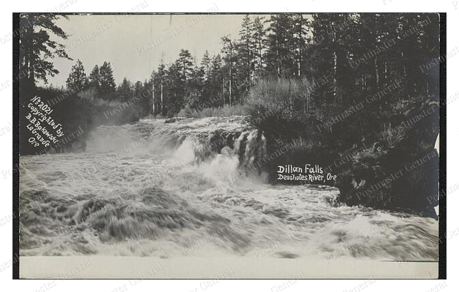 Deschutes River Oregon Dillan Falls Standard Postcard COPY RPPC