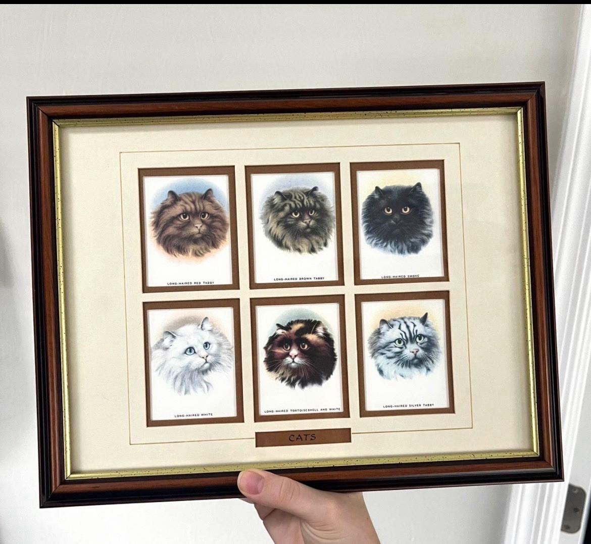 Vintage John Player & Sons "Cats" Cigarette Card Reissued - Double Sided 1986 Vintage John Player & Sons "Cats" Cigarette Card Reissued - Double Sided 1986