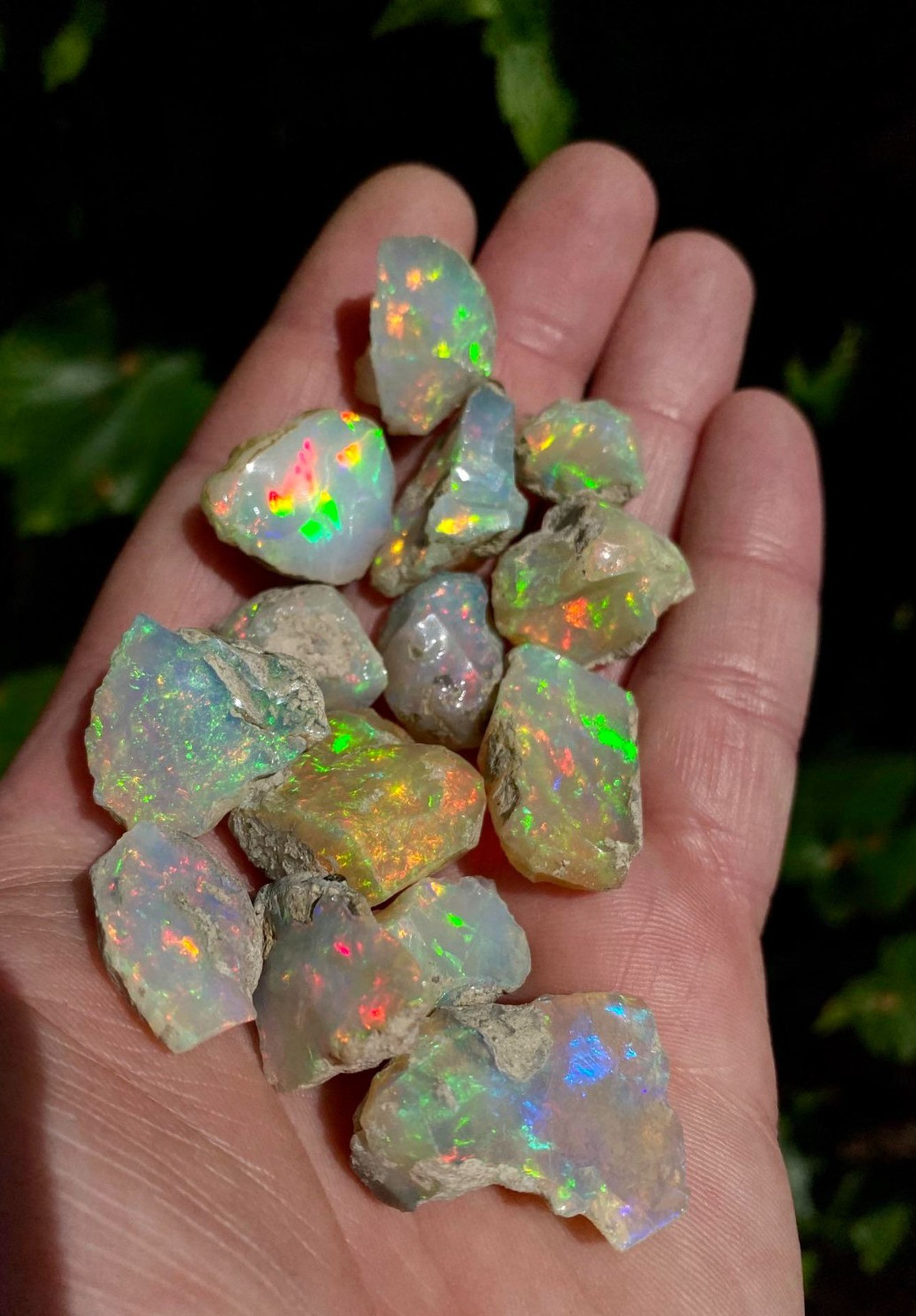 25Ct Natural Ethiopian Jumbo Welo Fire Opal Rough Specimen Gemstone 10 Pcs Lot 25Ct Natural Ethiopian Jumbo Welo Fire Opal Rough Specimen Gemstone 10 Pcs Lot