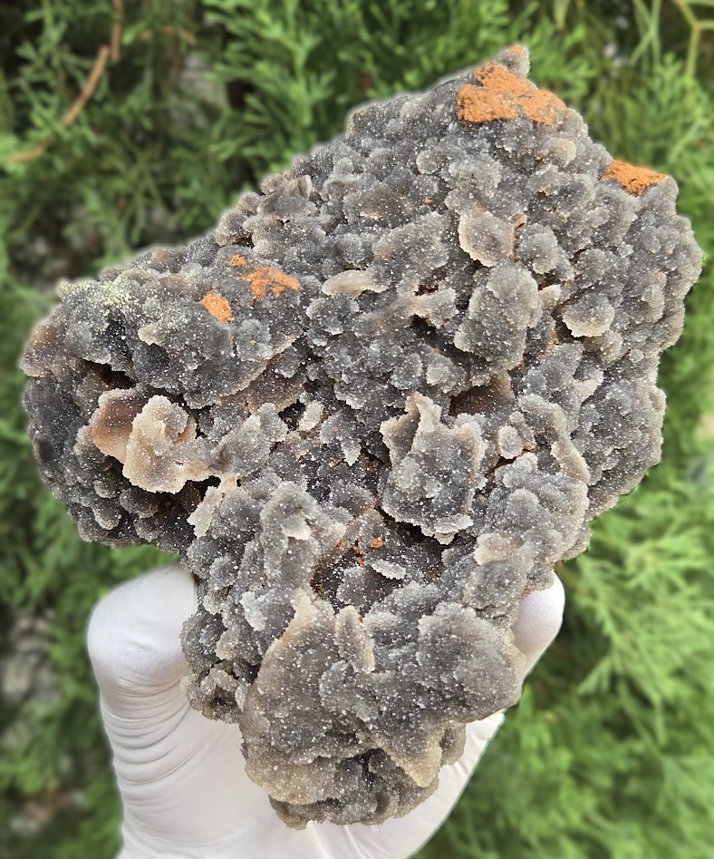 Druzy Quartz Botryoidal Chalcedony (Large 2 lb) Specimen Natural Mineral Decor Druzy Quartz Botryoidal Chalcedony (Large 2 lb) Specimen Natural Mineral Decor
