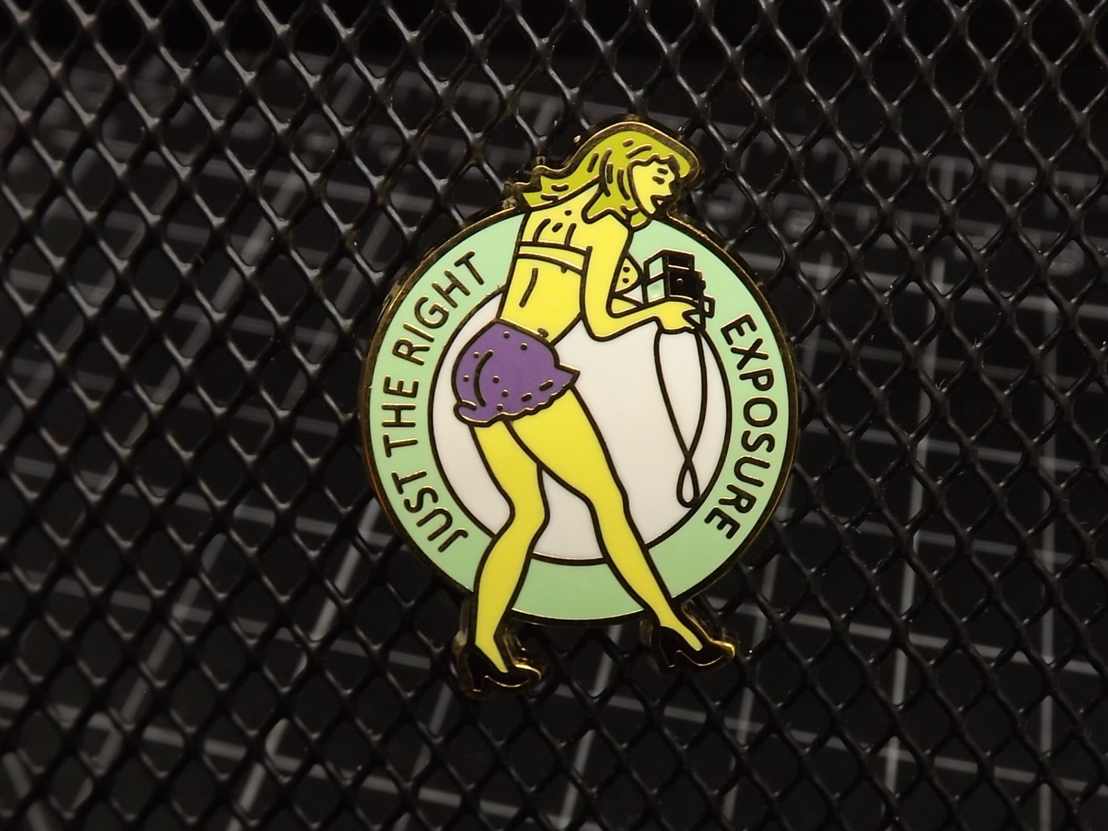 PIN NOSE ART-"JUST THE RIGHT EXPOSURE" Lapel Pin GUARANTEED FOR LIFE PIN NOSE ART-"JUST THE RIGHT EXPOSURE" Lapel Pin GUARANTEED FOR LIFE