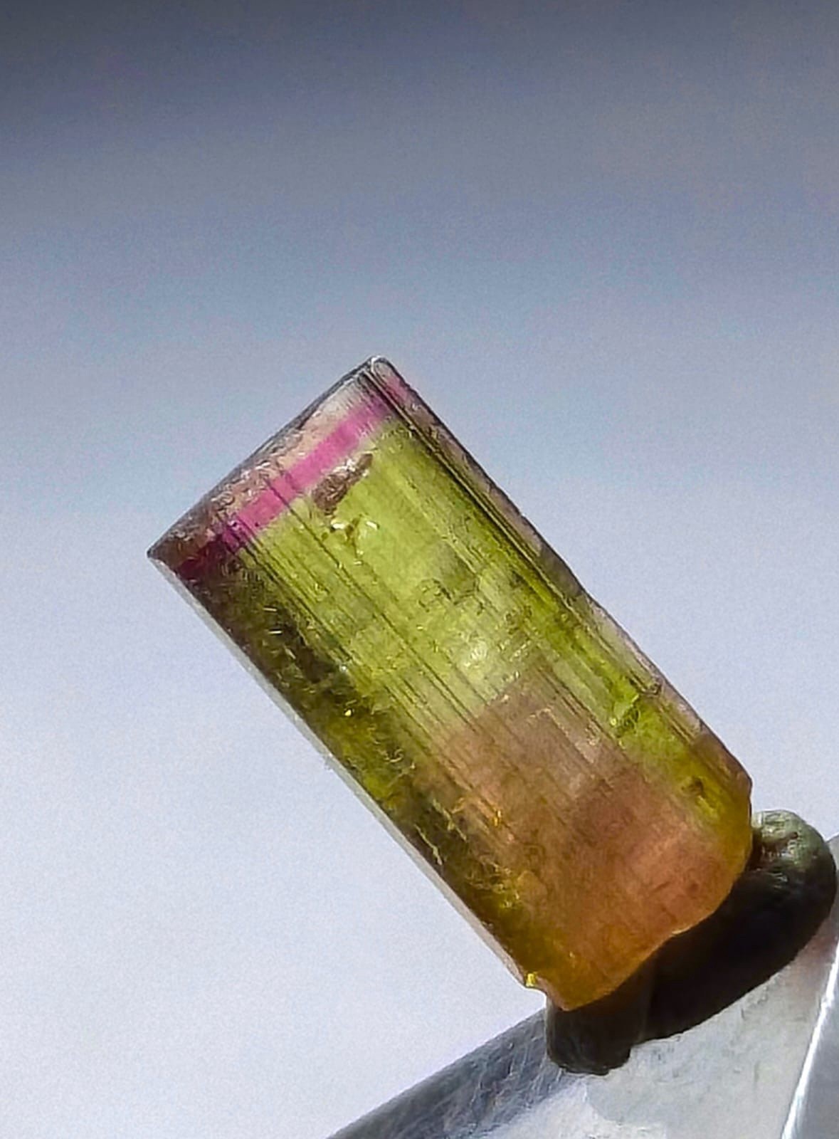 An Amazing Tri-Colour Watermelon Tourmaline Crystal From Poprook Mine Afghnistan An Amazing Tri-Colour Watermelon Tourmaline Crystal From Poprook Mine Afghnistan