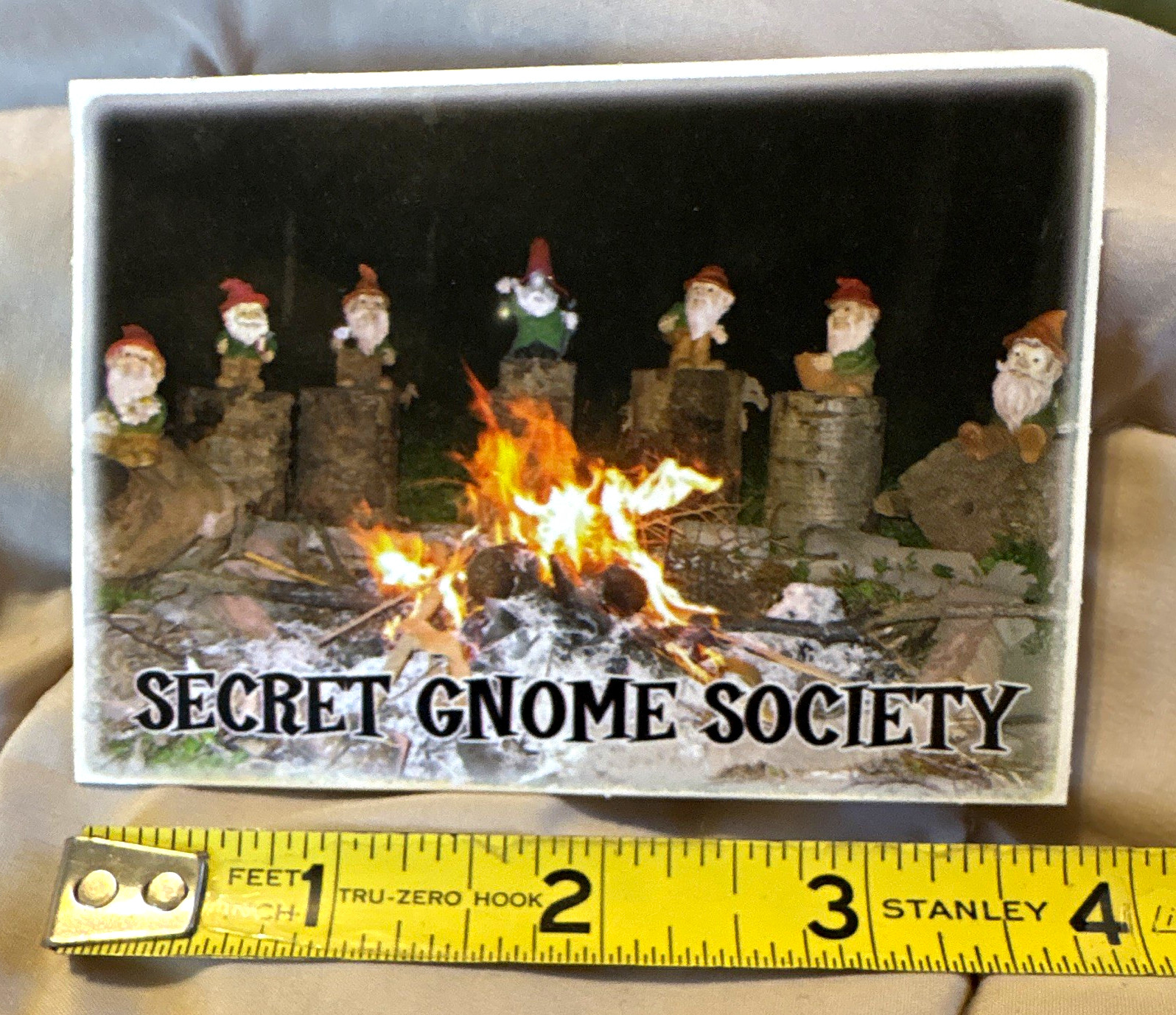 Secret Gnome Society GNOMENCLATURE Card #12/12 2005 Gnomes sticker Secret Gnome Society GNOMENCLATURE Card #12/12 2005 Gnomes sticker