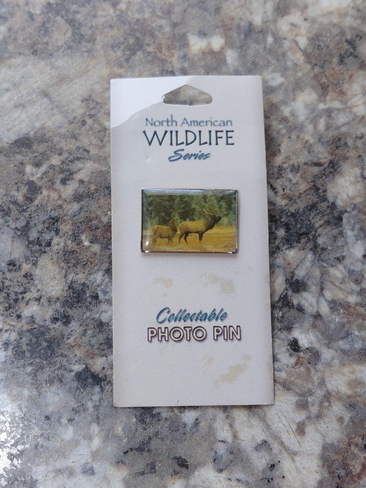 North American Wildlife Elk and Calf Series Collectible Vintage Photo Pin North American Wildlife Elk and Calf Series Collectible Vintage Photo Pin
