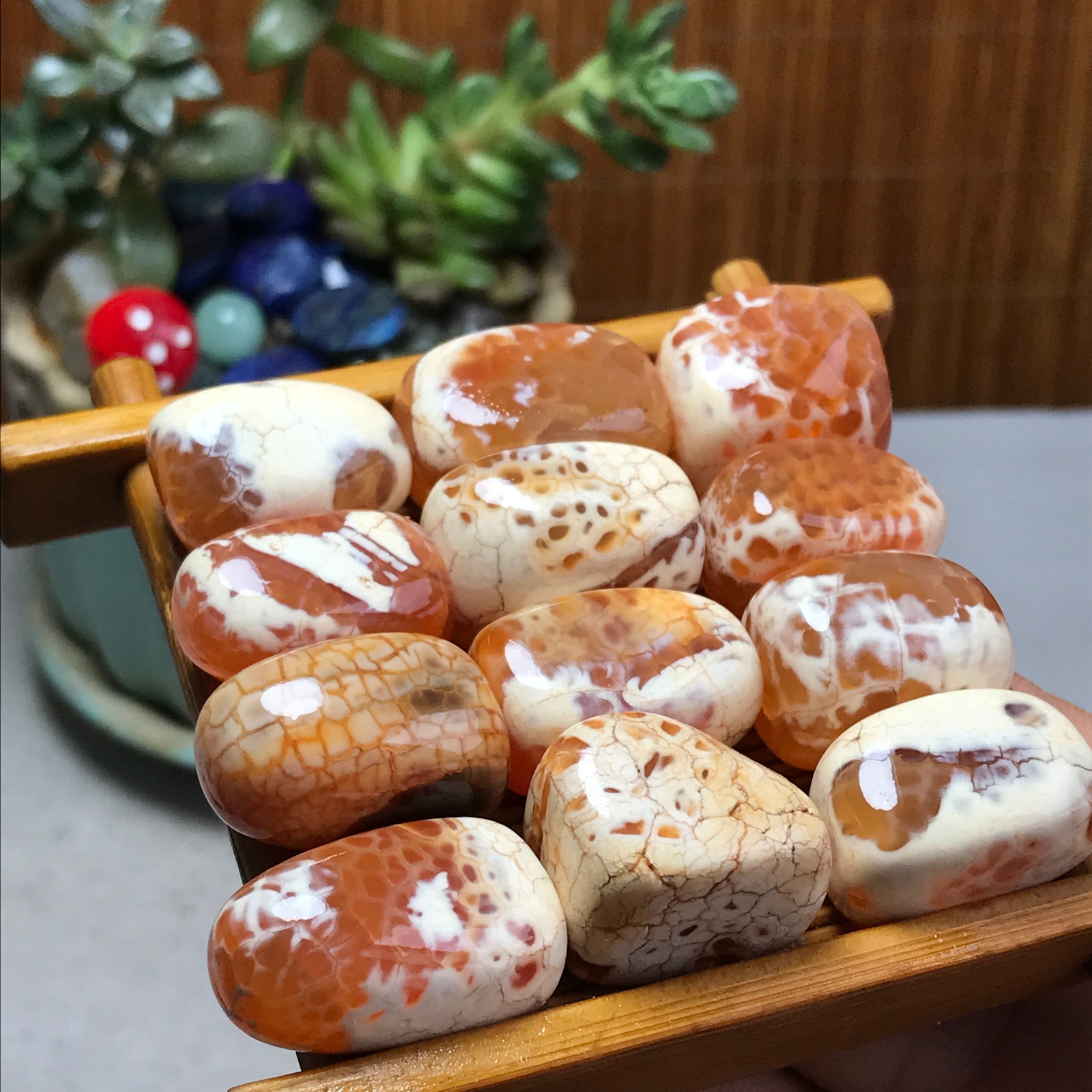 12pcs Natural Natural cherry blossom agate gemstone Polish Mineral Specimen 7515 12pcs Natural Natural cherry blossom agate gemstone Polish Mineral Specimen 7515