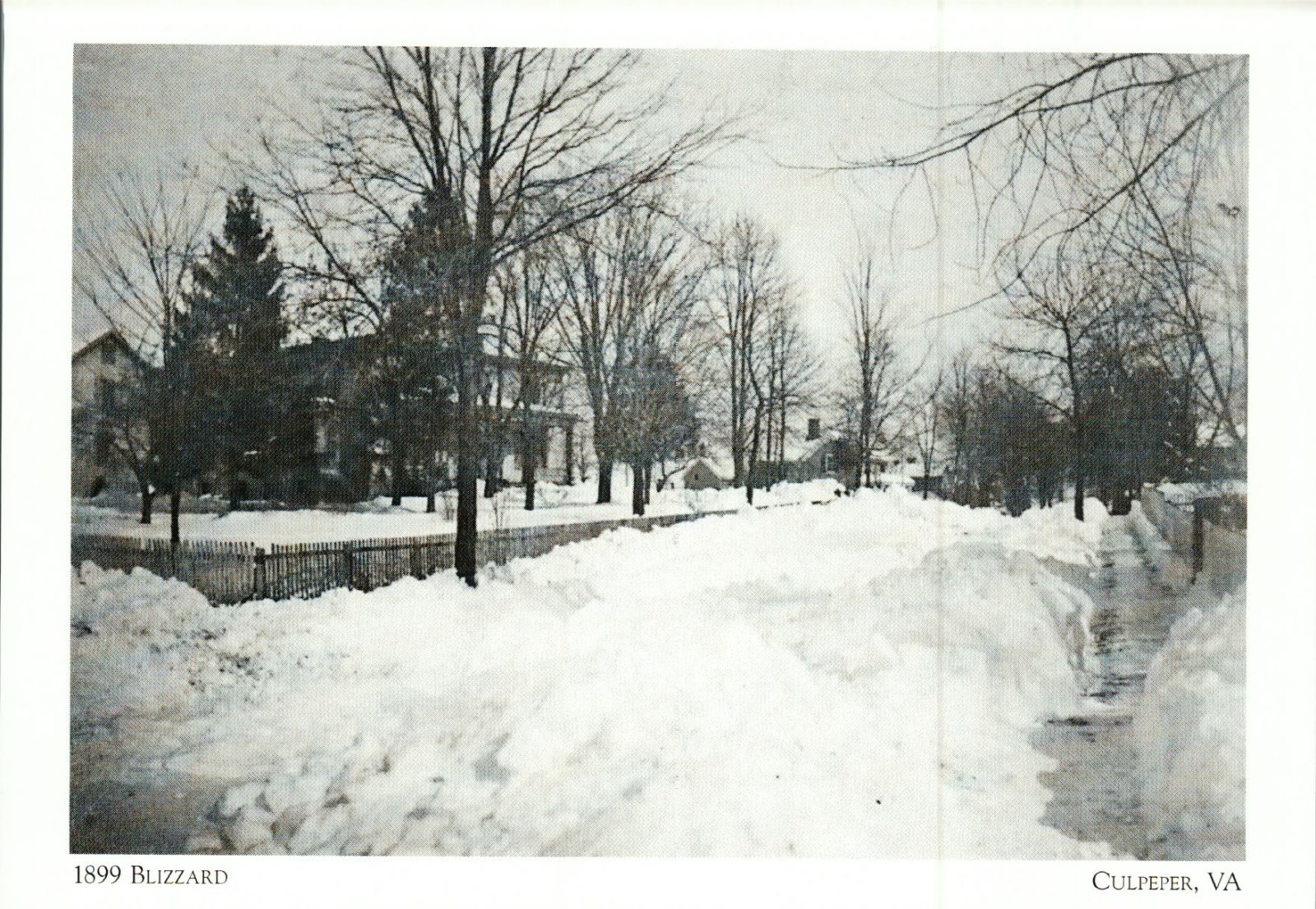 *Postcard-"The 1899 Blizzard" -Piedmont Street/ ...CLASSIC *Culpeper, VA {G152} *Postcard-"The 1899 Blizzard" -Piedmont Street/ ...CLASSIC *Culpeper, VA {G152}