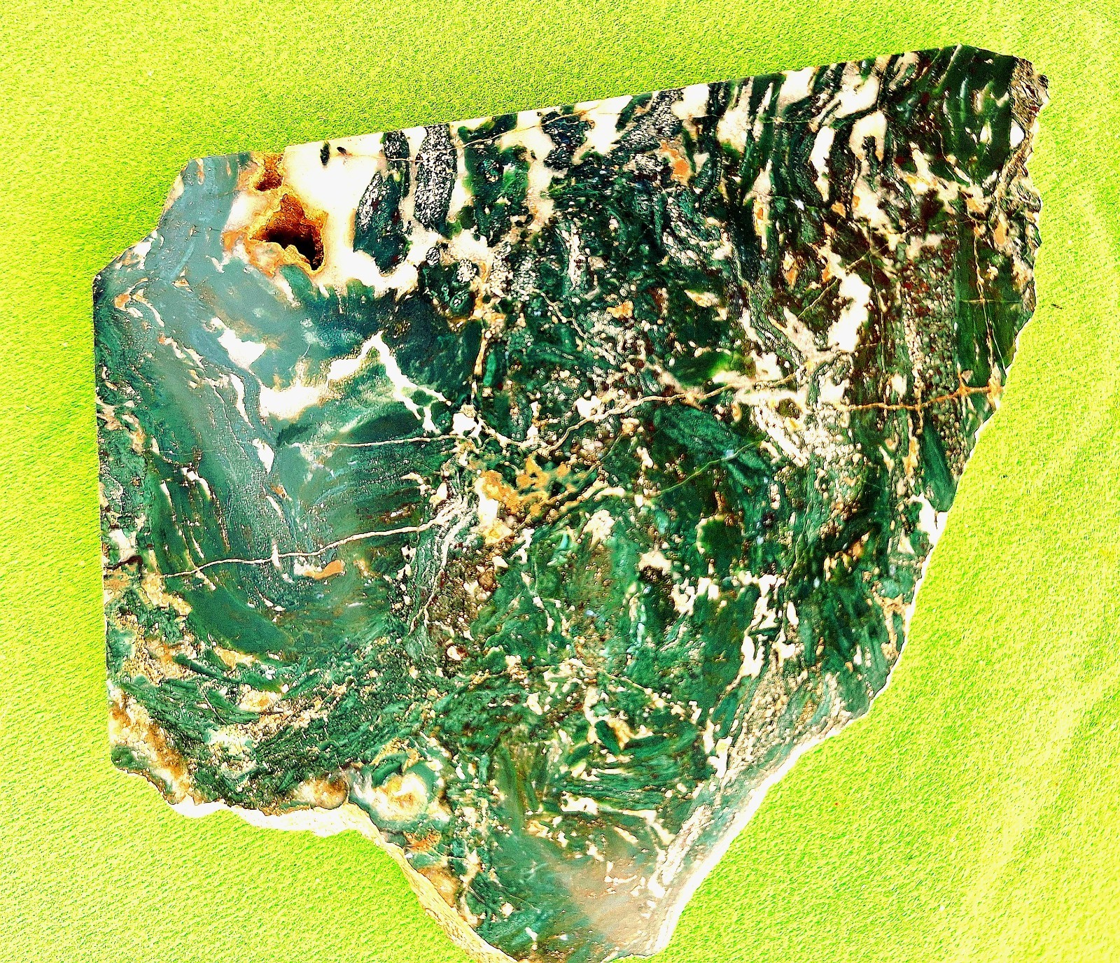 Polished Green Petrified Slab of Jasperized Wood Hampton Butte, Or~ ~11 Ounces~ Polished Green Petrified Slab of Jasperized Wood Hampton Butte, Or~ ~11 Ounces~