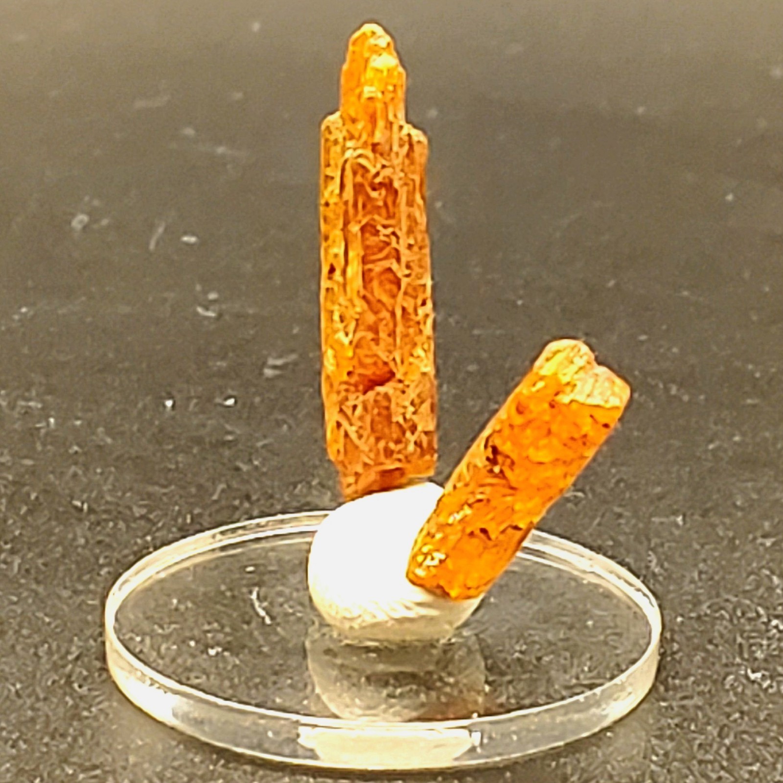 7.8ct Orange Kyanite Blades 2 Piece Lot Mined In Tanzania