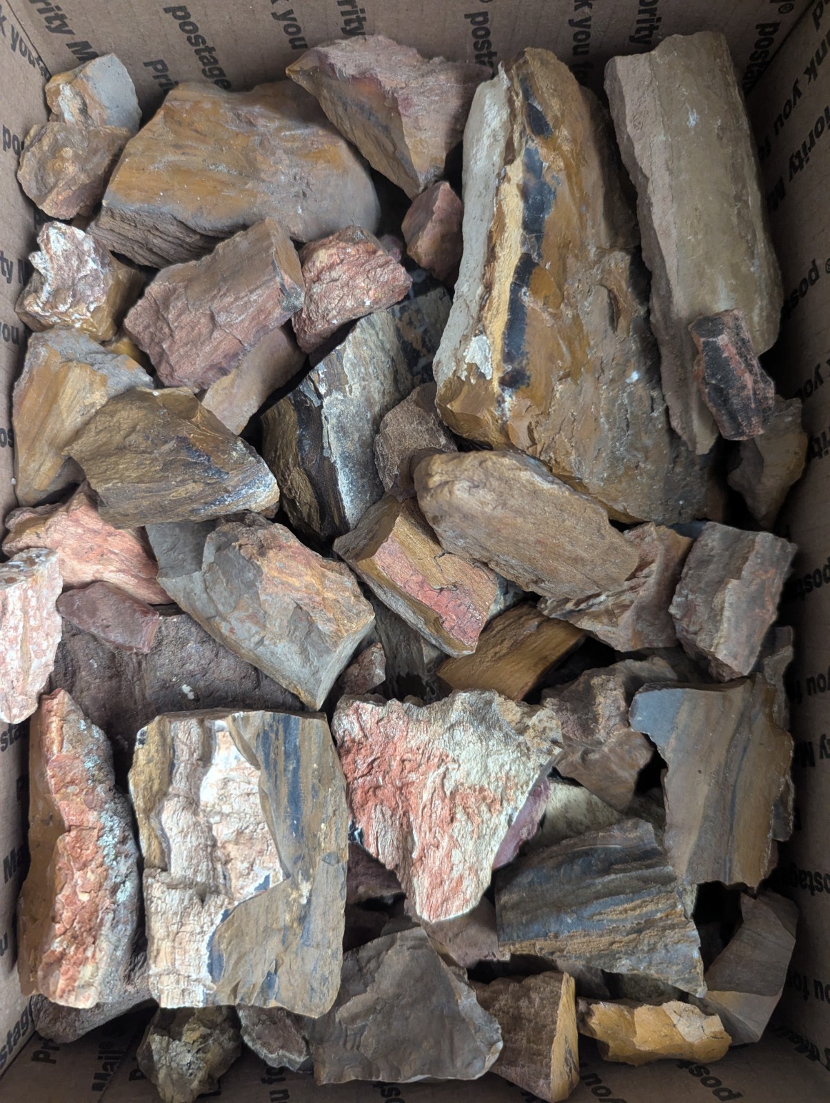 25+ lb Colorado Petrified Wood Bulk Rough – Parker Divide Med Flat Rate Box Full 25+ lb Colorado Petrified Wood Bulk Rough – Parker Divide Med Flat Rate Box Full