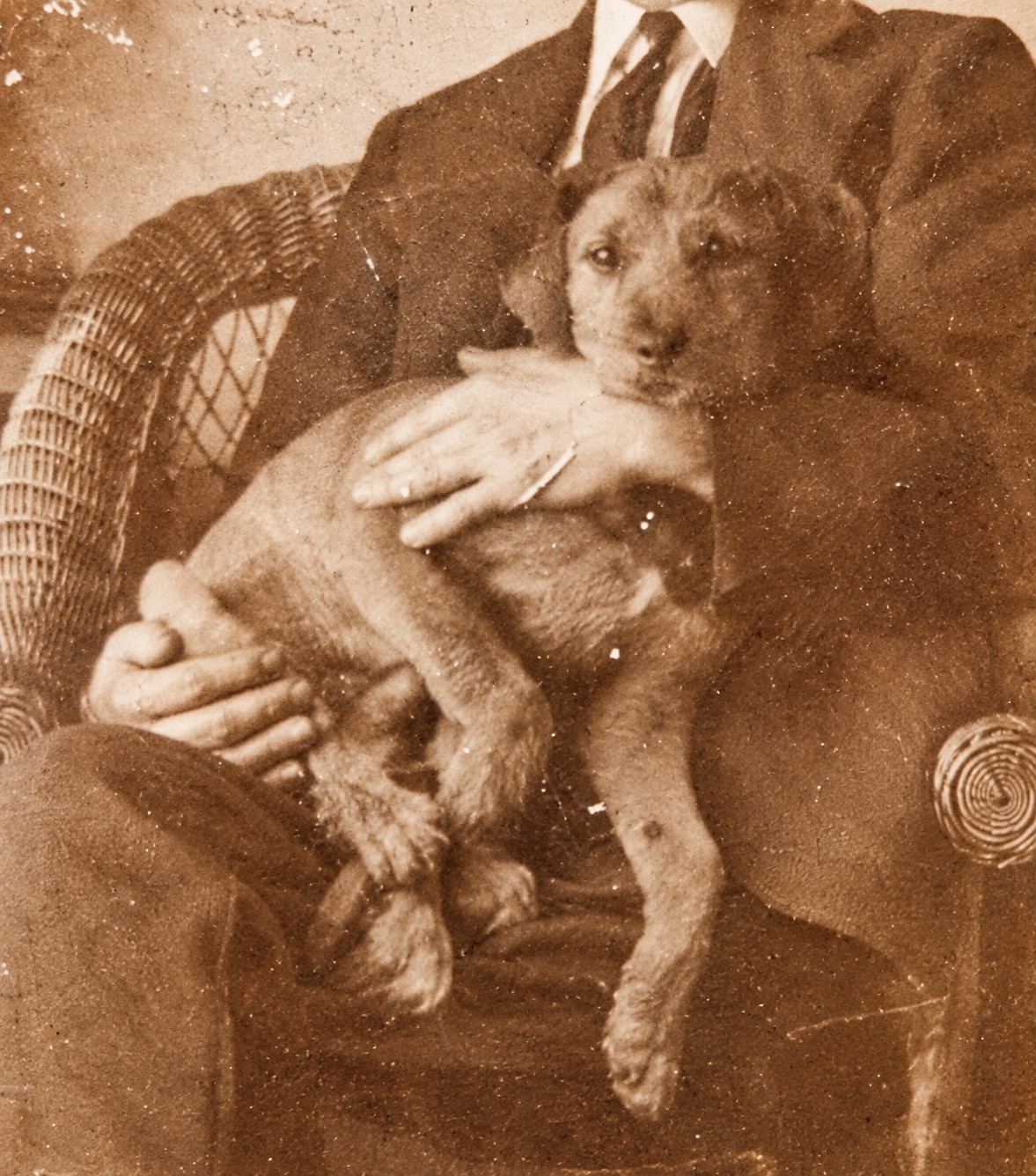 Antique c.1900 Cabinet Card Photo Man Nuzzling His Little Dog – Ornate Black... Antique c.1900 Cabinet Card Photo Man Nuzzling His Little Dog – Ornate Black...