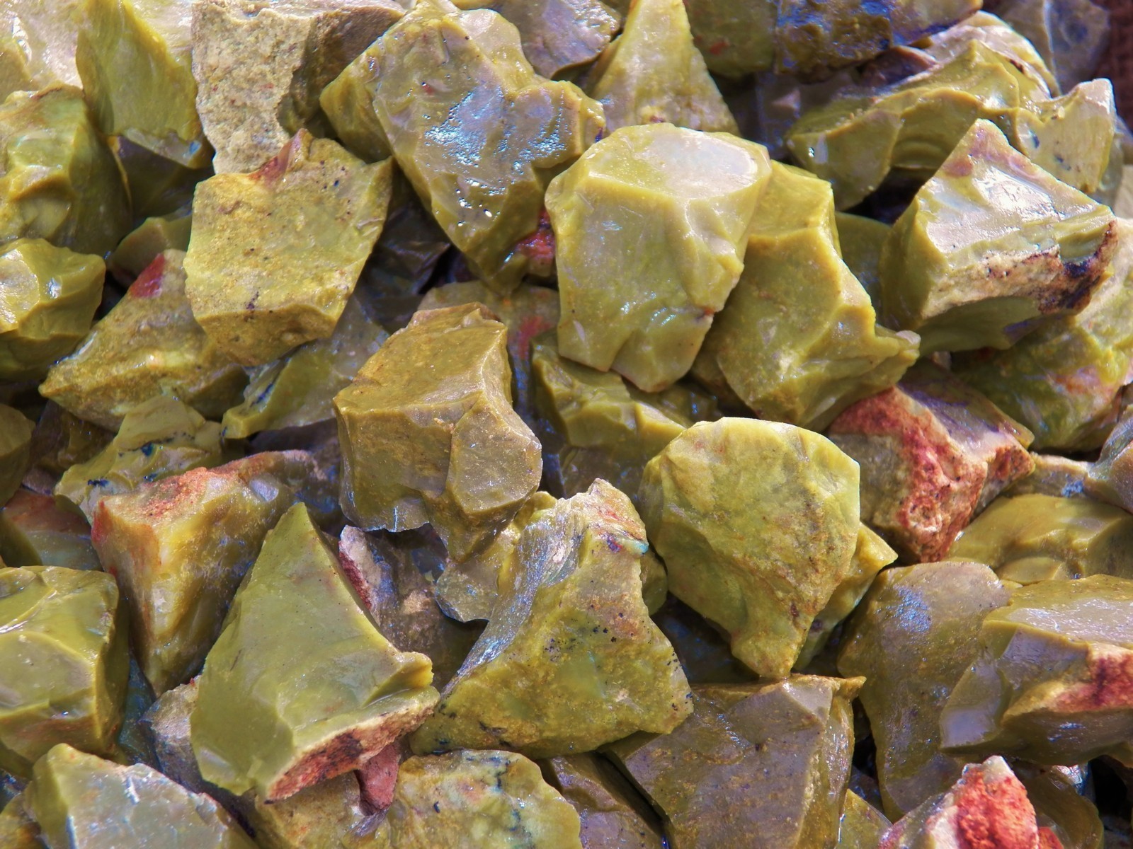 2000 Carat Lots of Green Opal Rough - Plus a FREE Faceted Gemstone 2000 Carat Lots of Green Opal Rough - Plus a FREE Faceted Gemstone