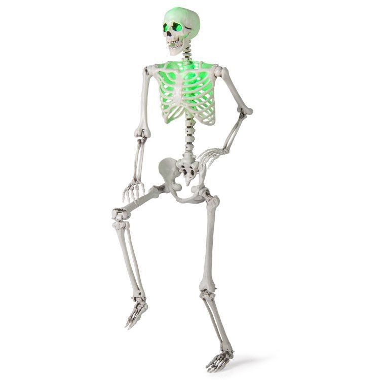5.4ft Halloween Skeleton Full Body Life Size Posable Skeleton Movable Joints