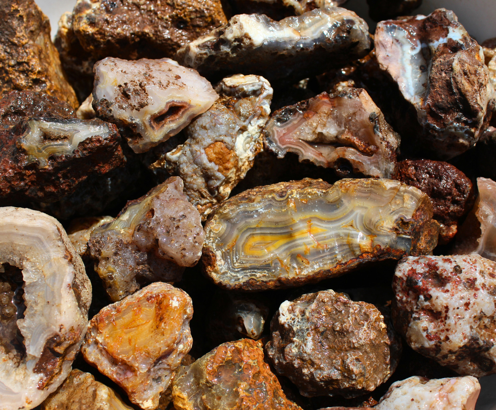 Picacho Agate Nodules - Rough Rocks for Lapidary/Cabochon - Bulk Wholesale Picacho Agate Nodules - Rough Rocks for Lapidary/Cabochon - Bulk Wholesale