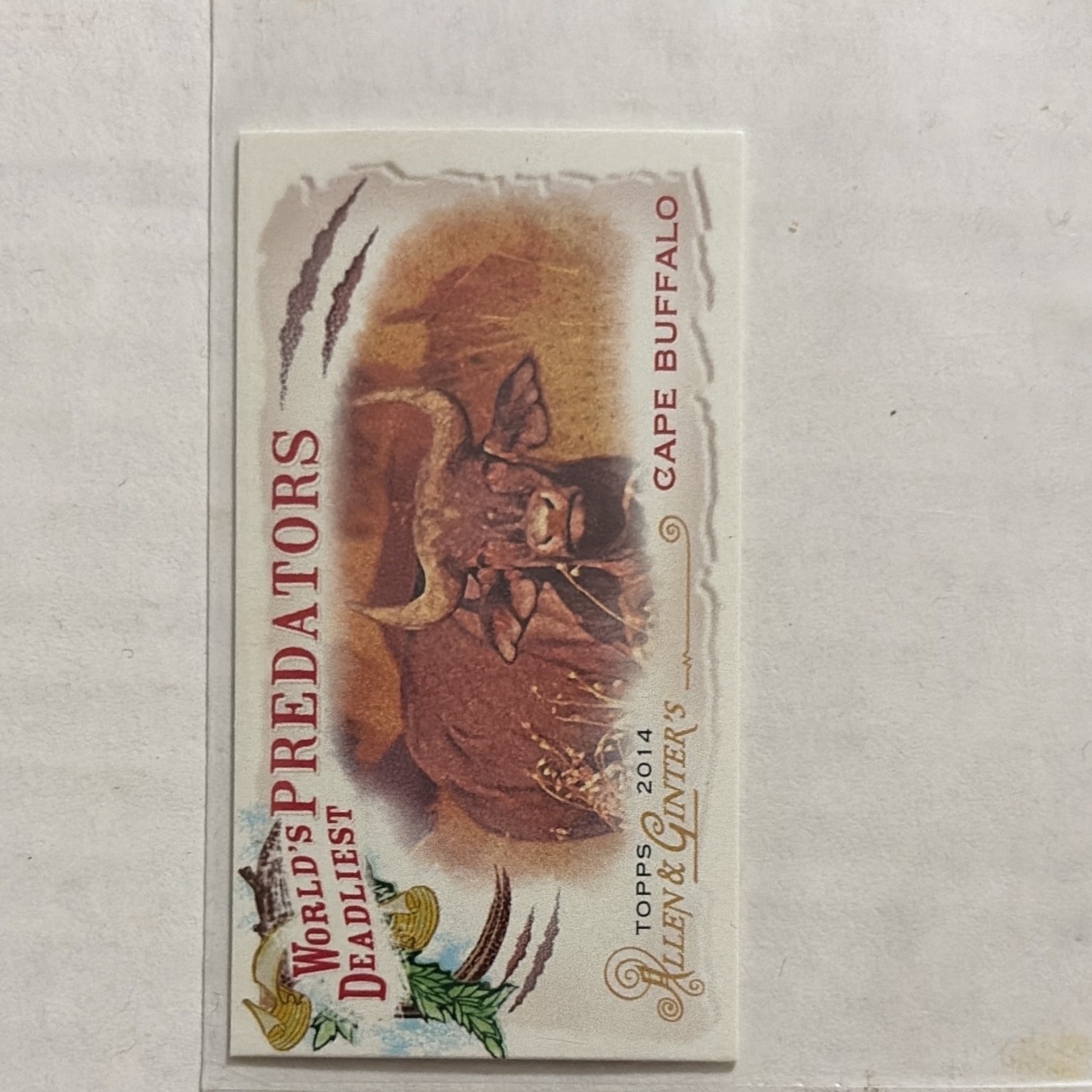 Topps 2014 Allen & Ginter World's Deadliest Predators Cape Buffalo WDP-08 Topps 2014 Allen & Ginter World's Deadliest Predators Cape Buffalo WDP-08