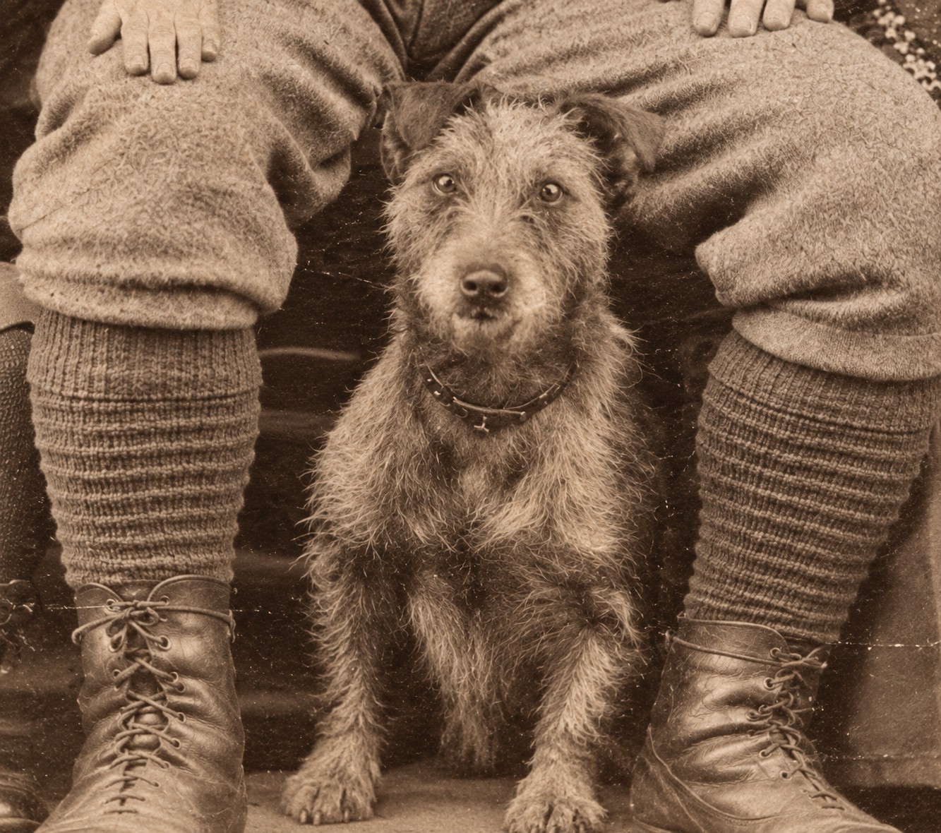 1897 Victorian Cabinet Card Family Portrait with Dog | S.H. Ellis, Hanley...