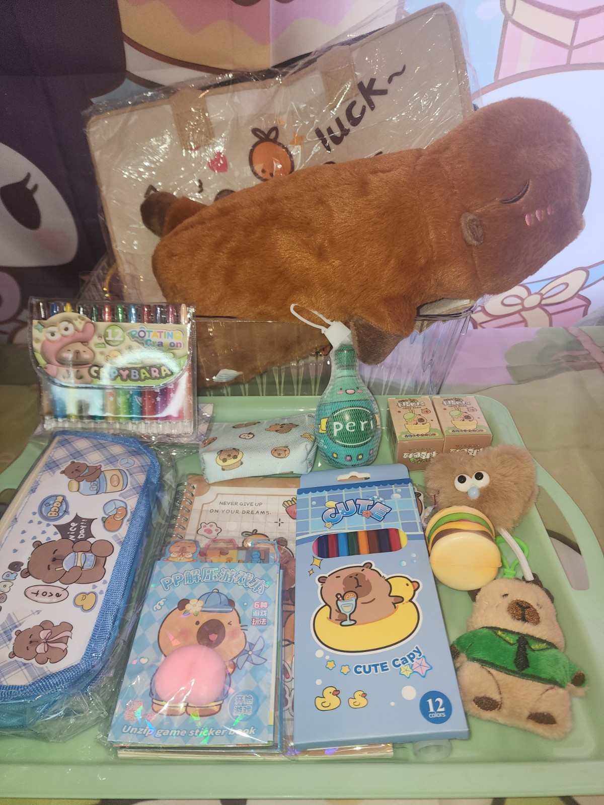 Ultimate Capybara Lovers Gift Set - Kawaii Stationery Pouch Plush Bag Charm New
