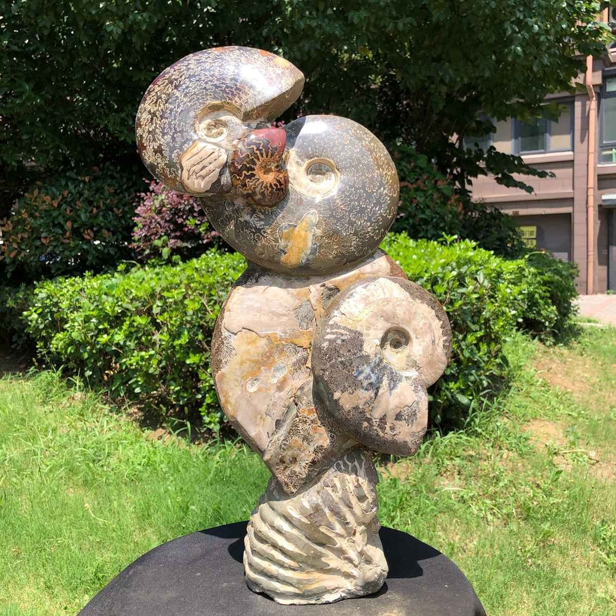 19.16LB Natural Large Beautiful Ammonite Fossil Conch Crystal Specimen Healing 19.16LB Natural Large Beautiful Ammonite Fossil Conch Crystal Specimen Healing