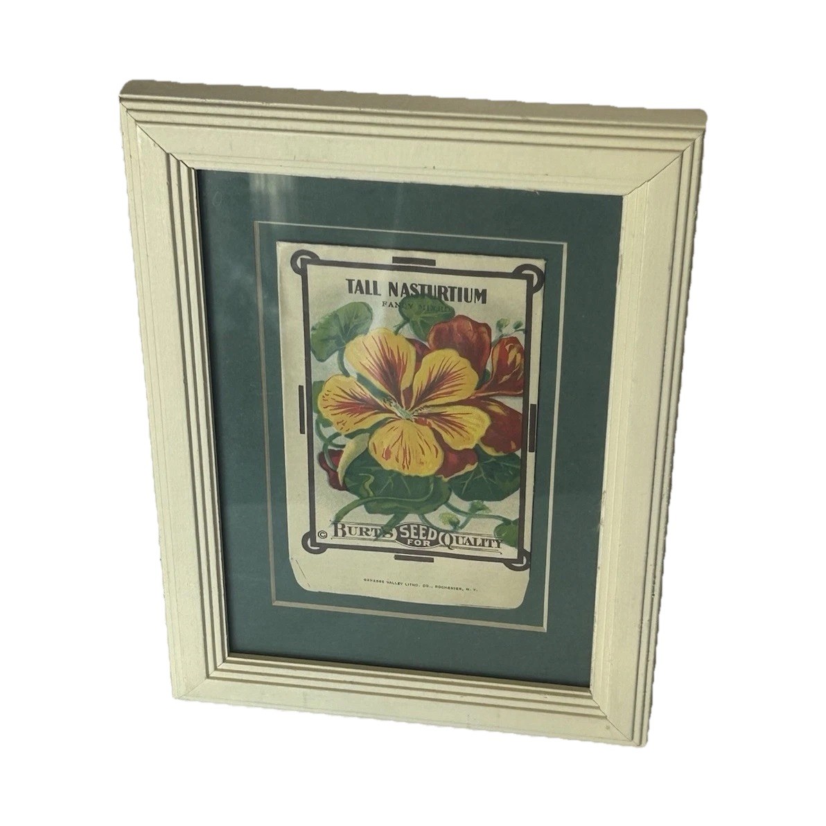 Burt's Seed Tall Nasturtium Original Lithograph Label Circa 1915 in a frame 