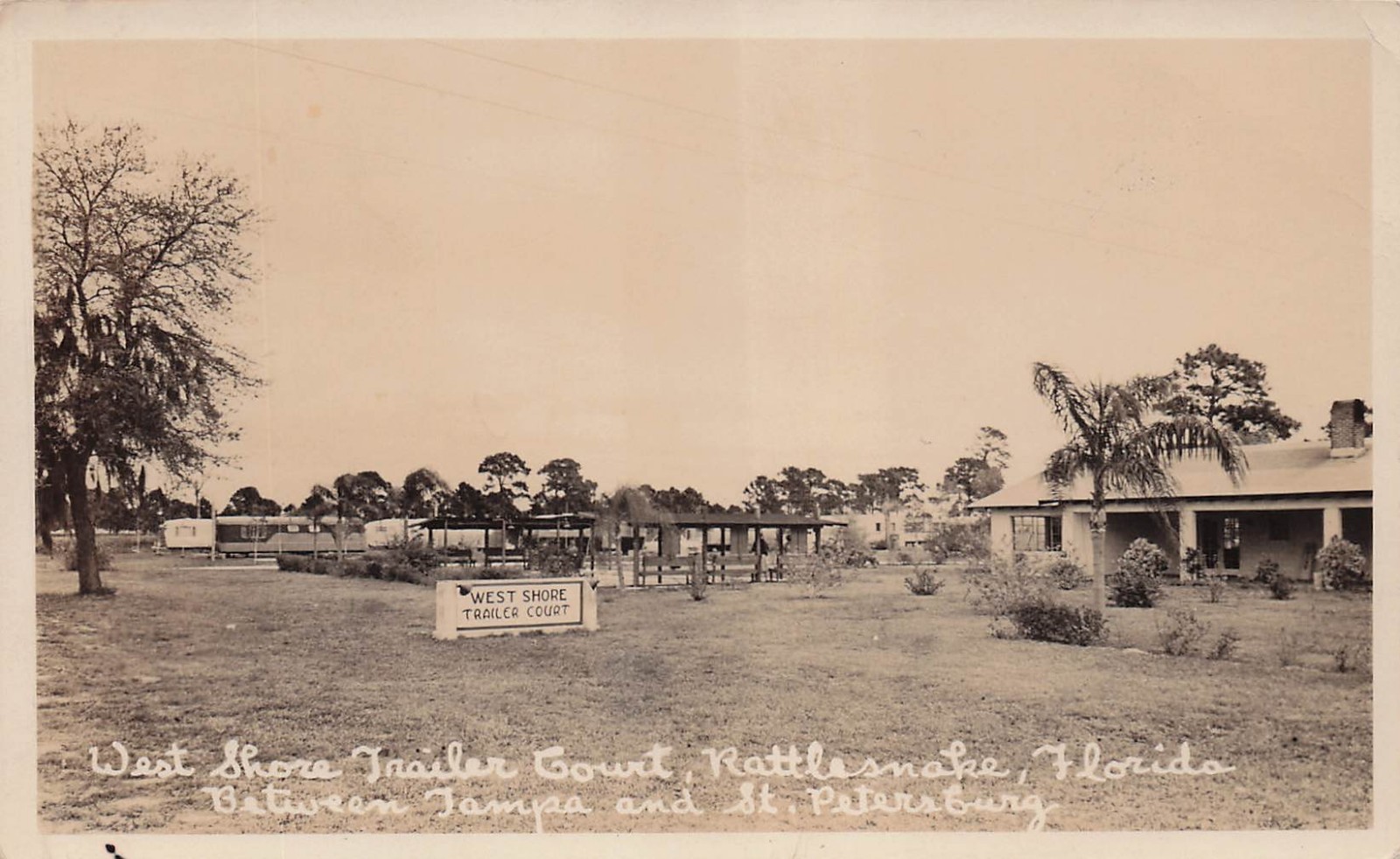 St Petersburg Rattlesnake FL Florida West Shore Trailer Park Photo Postcard 3A St Petersburg Rattlesnake FL Florida West Shore Trailer Park Photo Postcard 3A