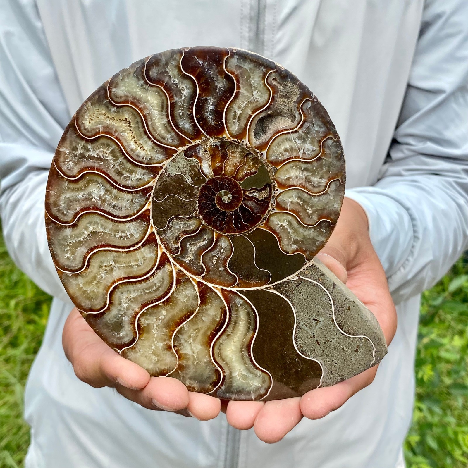 440G Rare Natural Tentacle Ammonite FossilSpecimen Shell Healing Madagascar 440G Rare Natural Tentacle Ammonite FossilSpecimen Shell Healing Madagascar