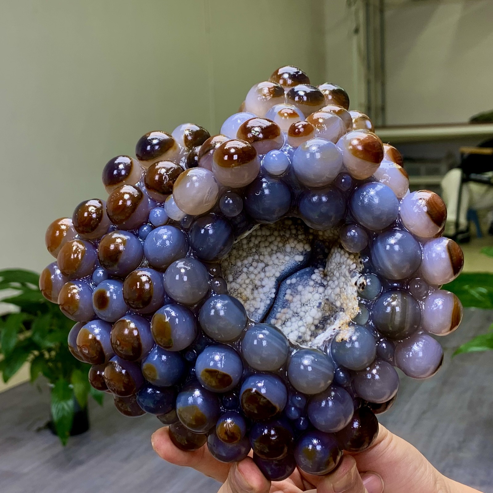 4.24LB Natural Gobi Agate Eye Agate grape shape Crystal mineral