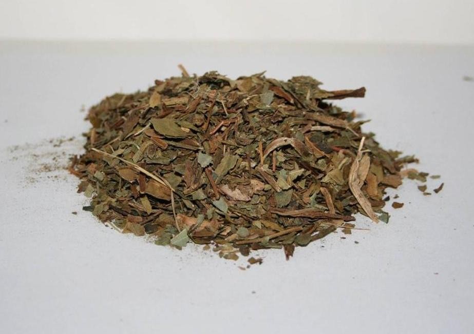 DEER TONGUE LEAF Native American Botanical Herb 1 Ounce Pack DEER TONGUE LEAF Native American Botanical Herb 1 Ounce Pack