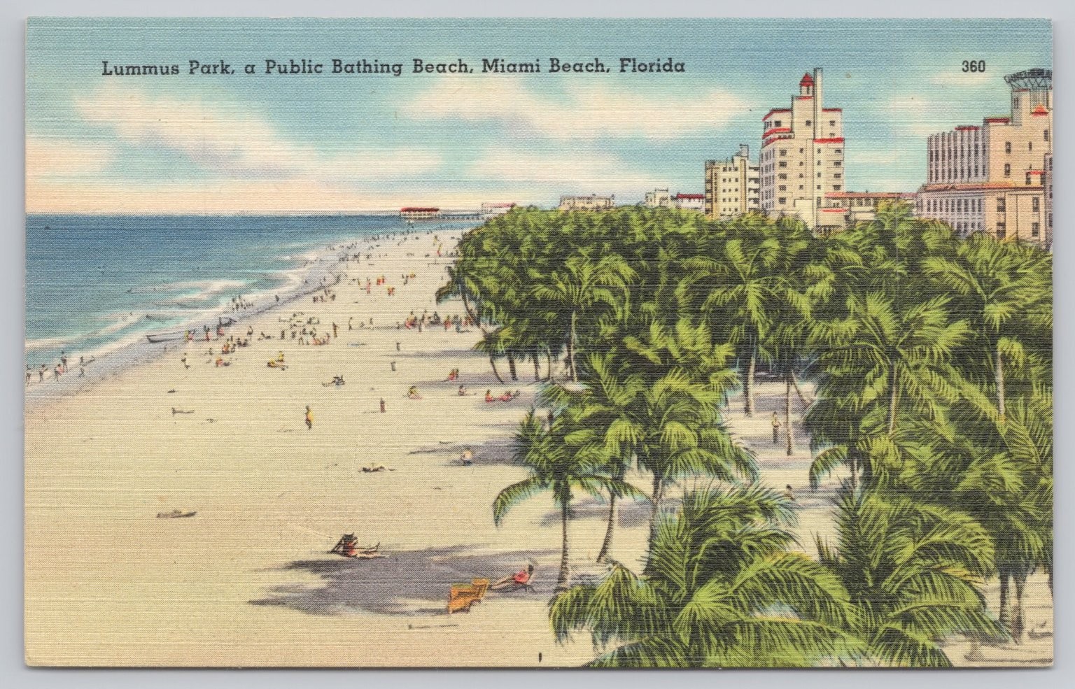 Vintage Lummus Park Miami Beach Florida Postcard Hotels Beach Tichnor Linen