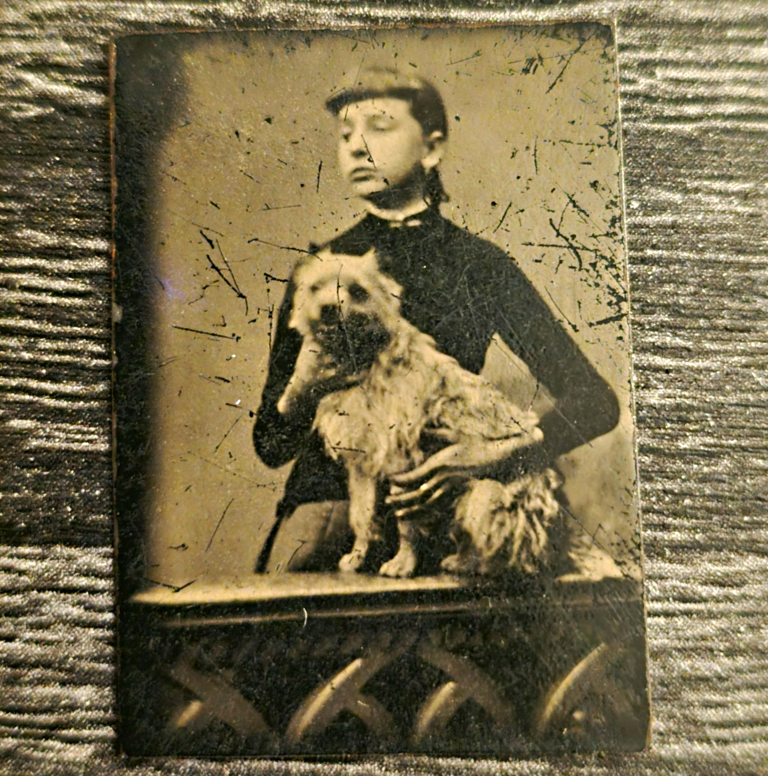 Antique Gem Tintype Woman Holding Dog – Rare Victorian Pet Photo – 1 x 1.5 Antique Gem Tintype Woman Holding Dog – Rare Victorian Pet Photo – 1 x 1.5