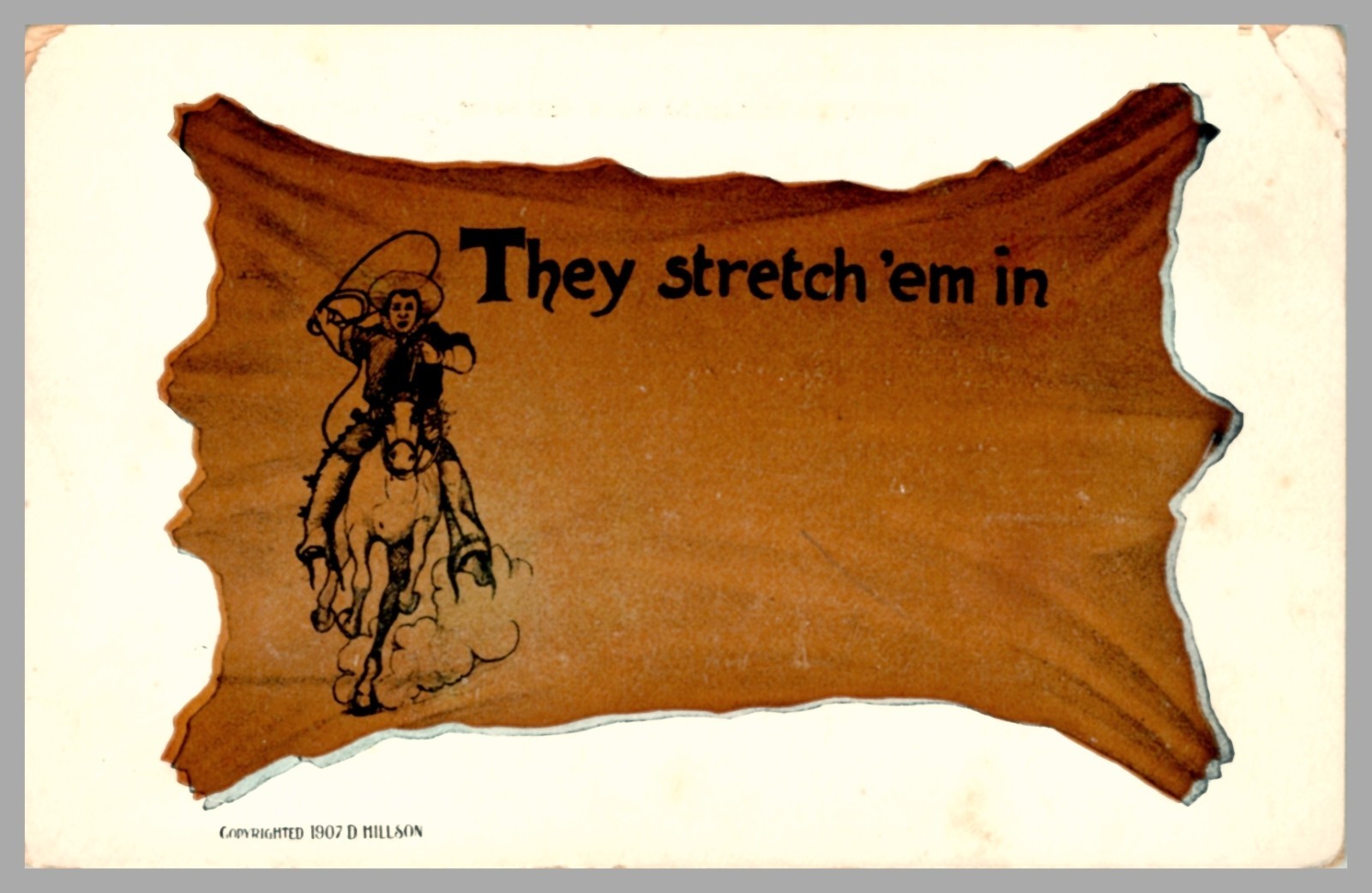 D. Hillson Novelty Leather Hide Shape They Stretch 'Em In Antique 1907 Postcard